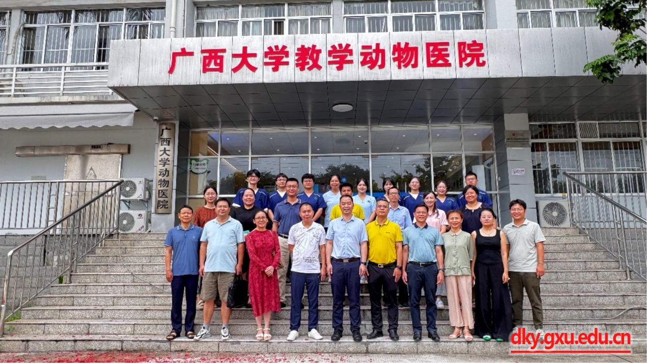 英国上市公司365