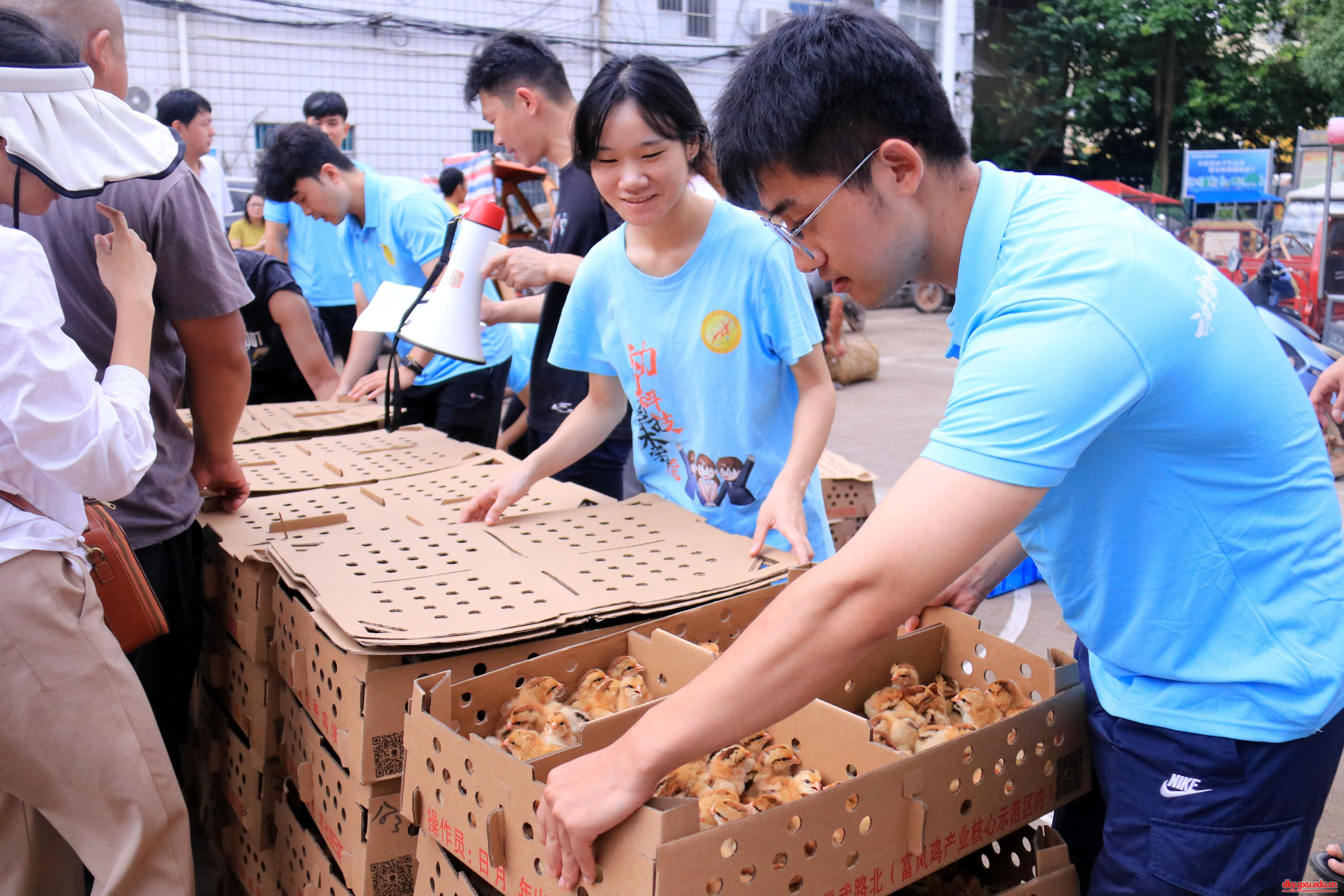 英国上市公司365