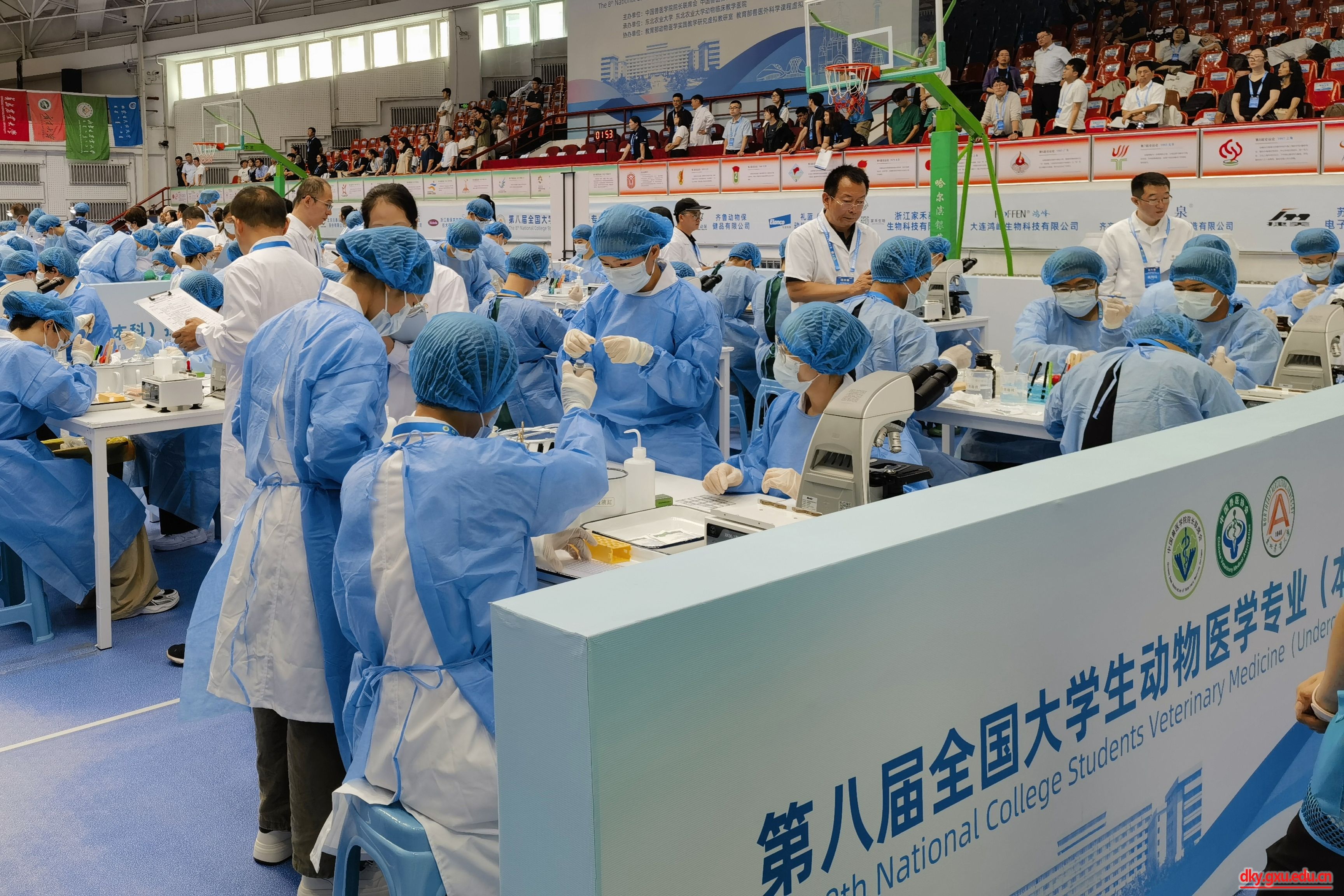 英国上市公司365