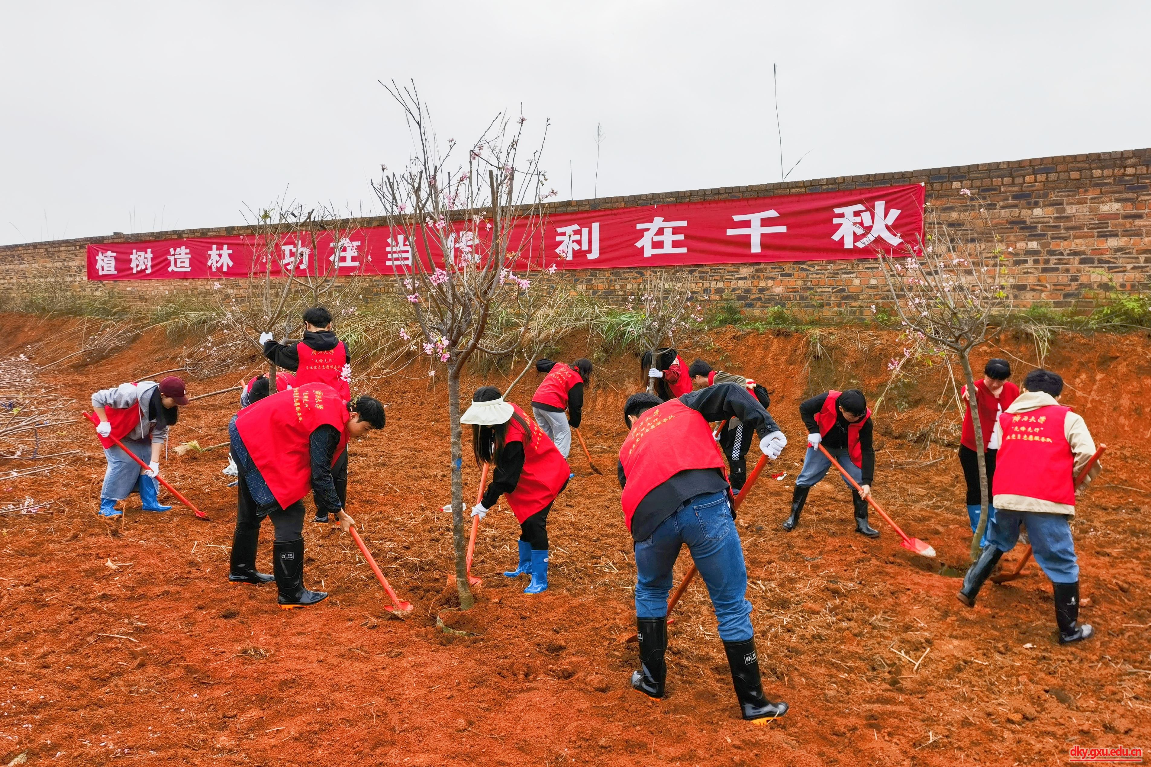 英国上市公司365