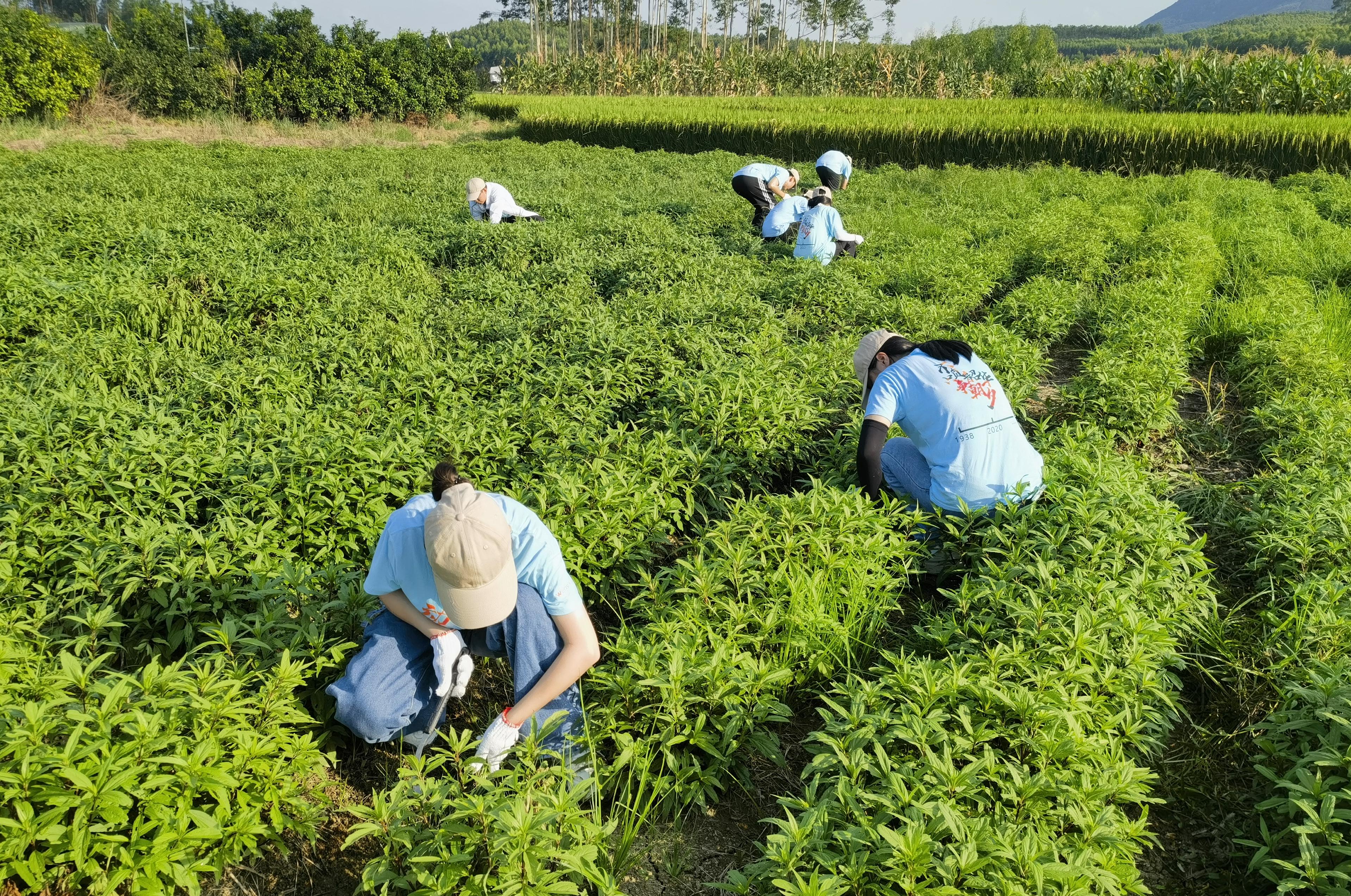 英国上市公司365