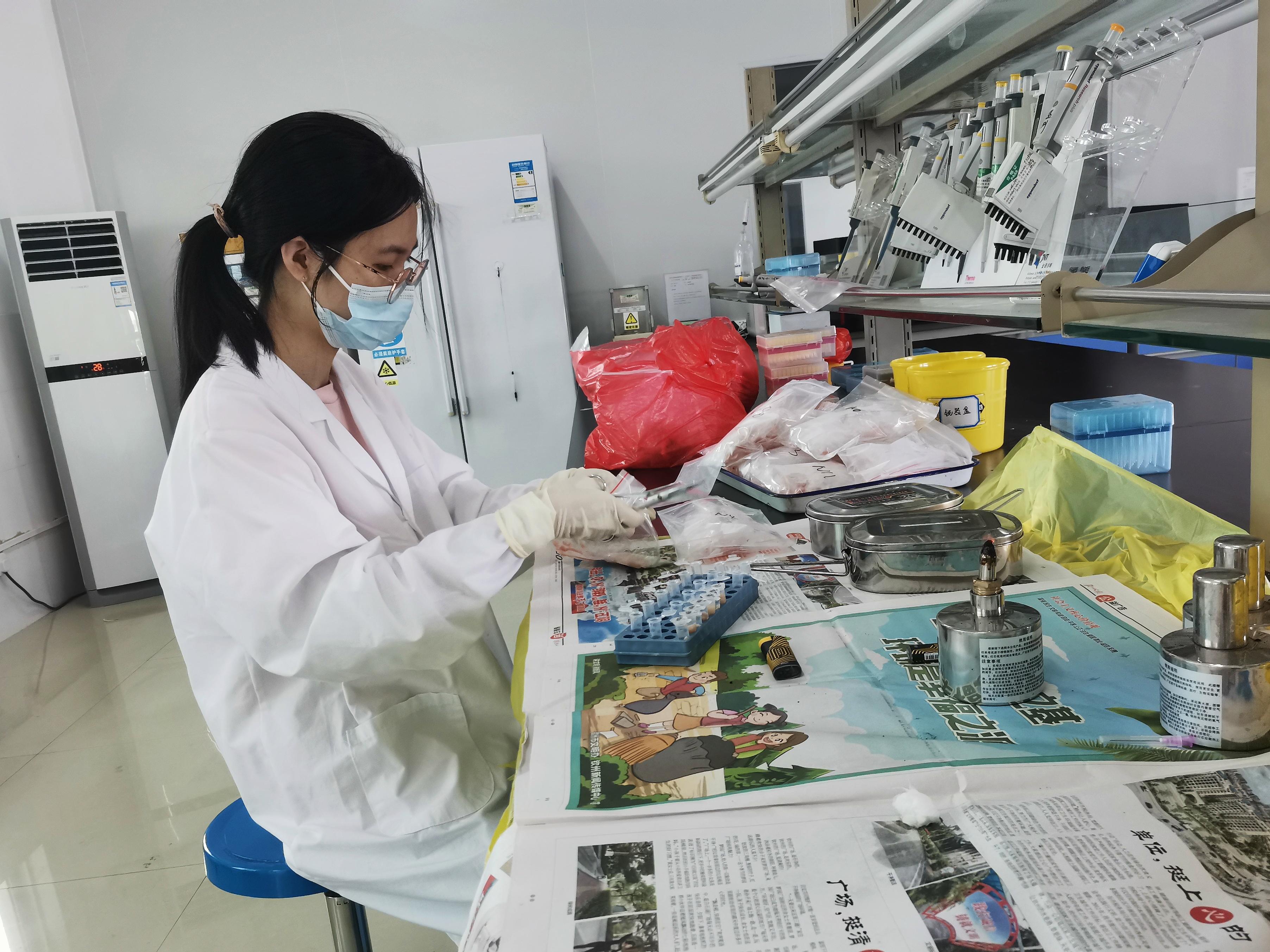 英国上市公司365