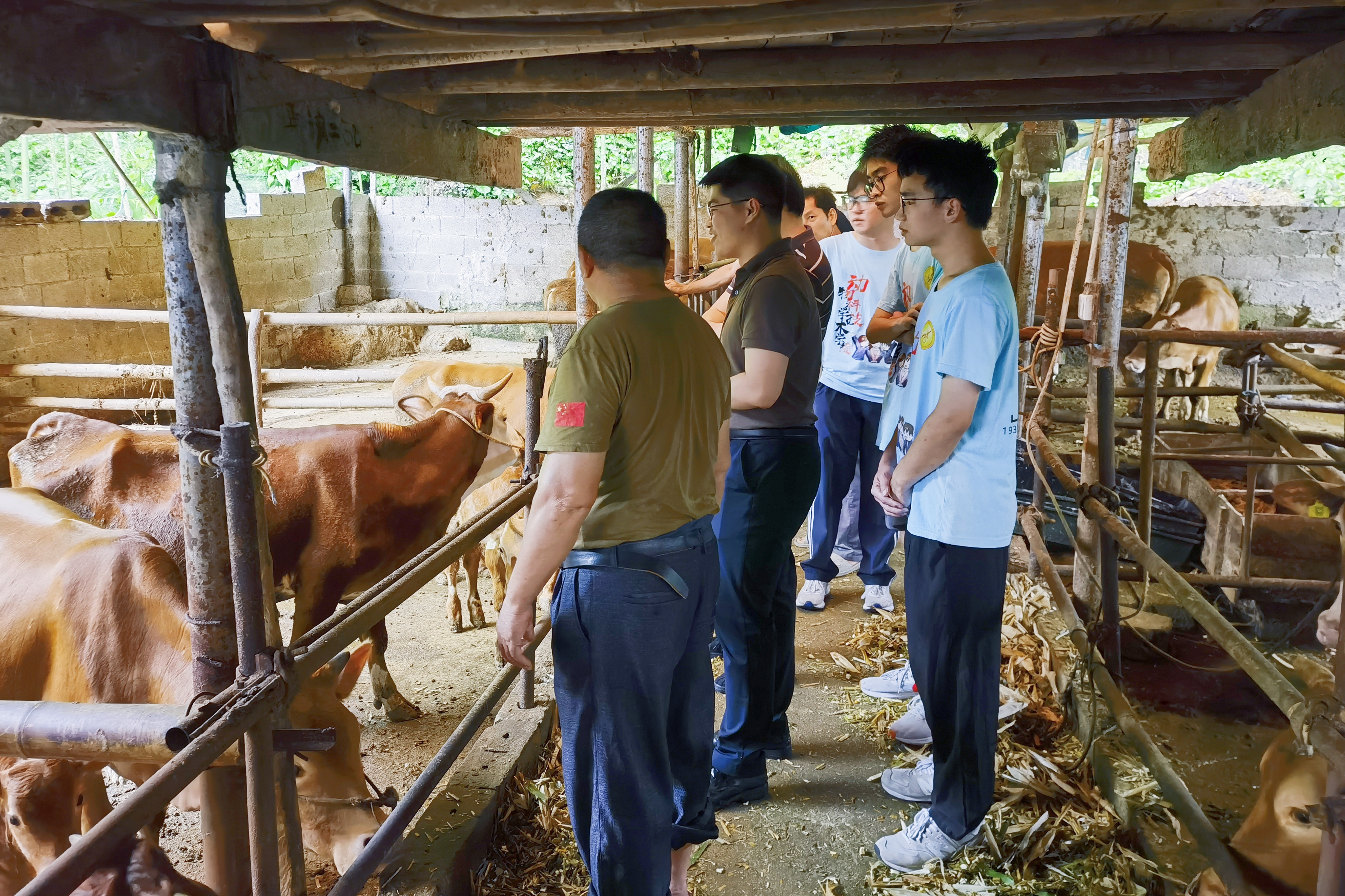 英国上市公司365