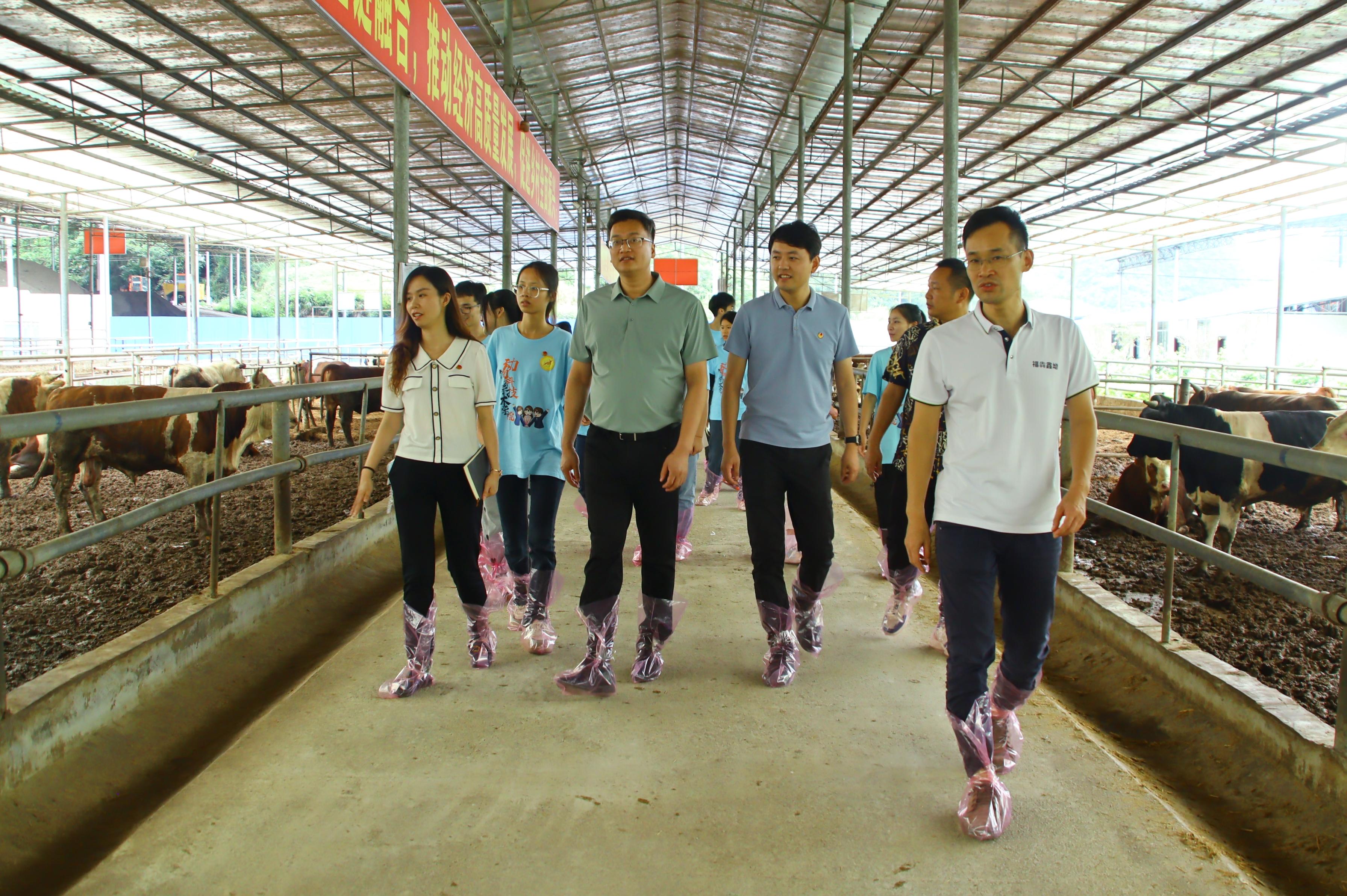 英国上市公司365