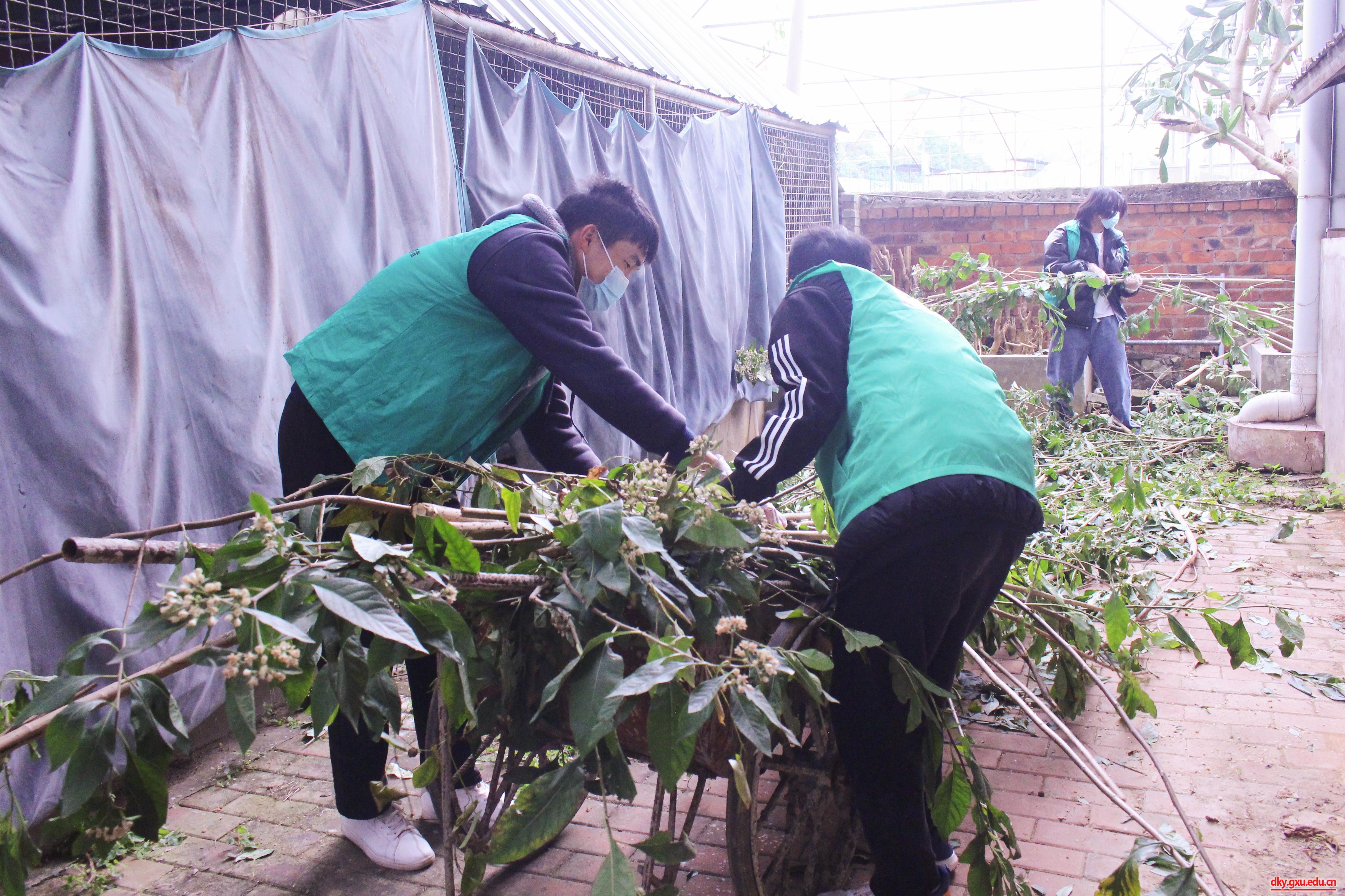 英国上市公司365