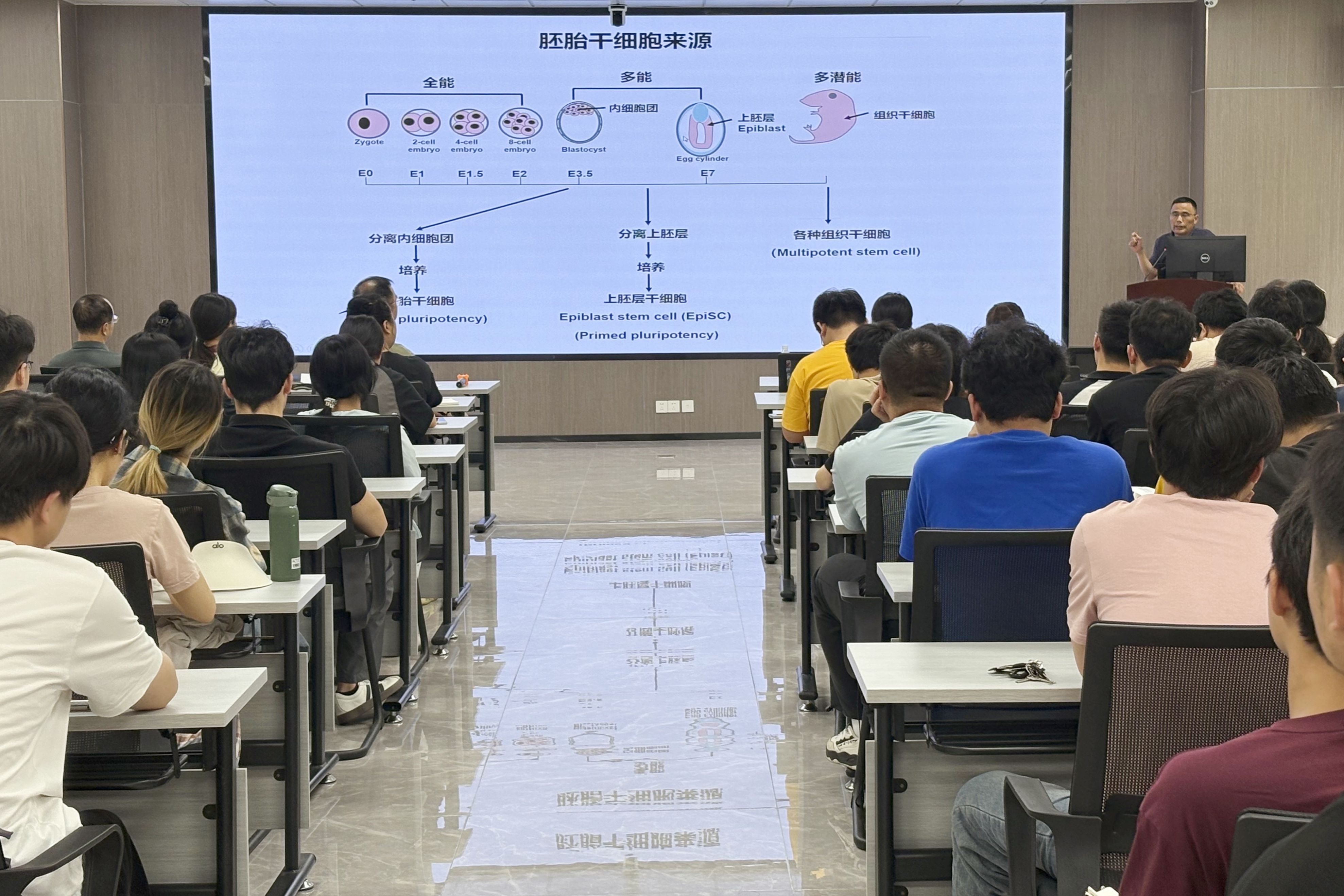 英国上市公司365