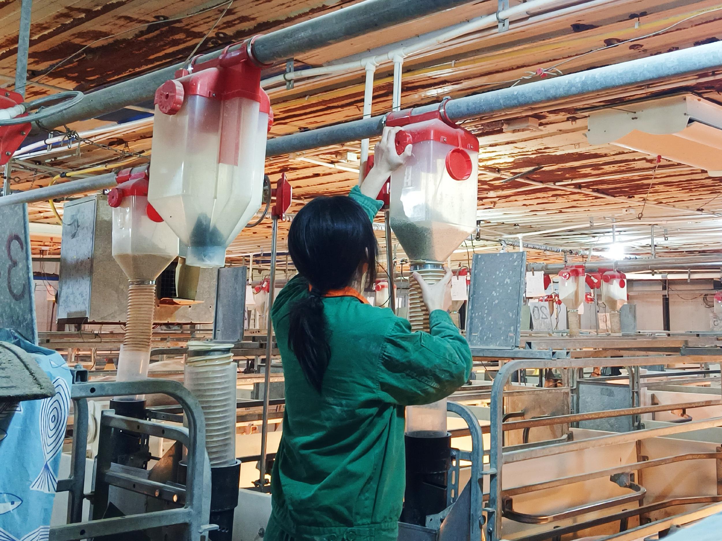 英国上市公司365