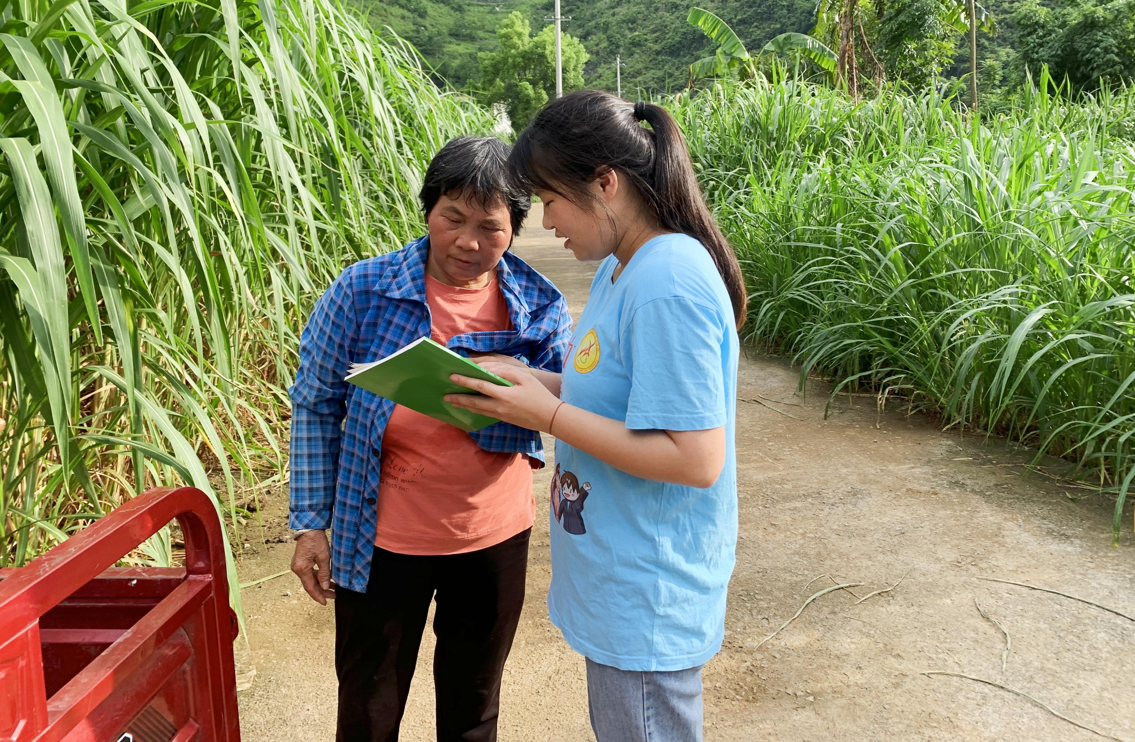 英国上市公司365