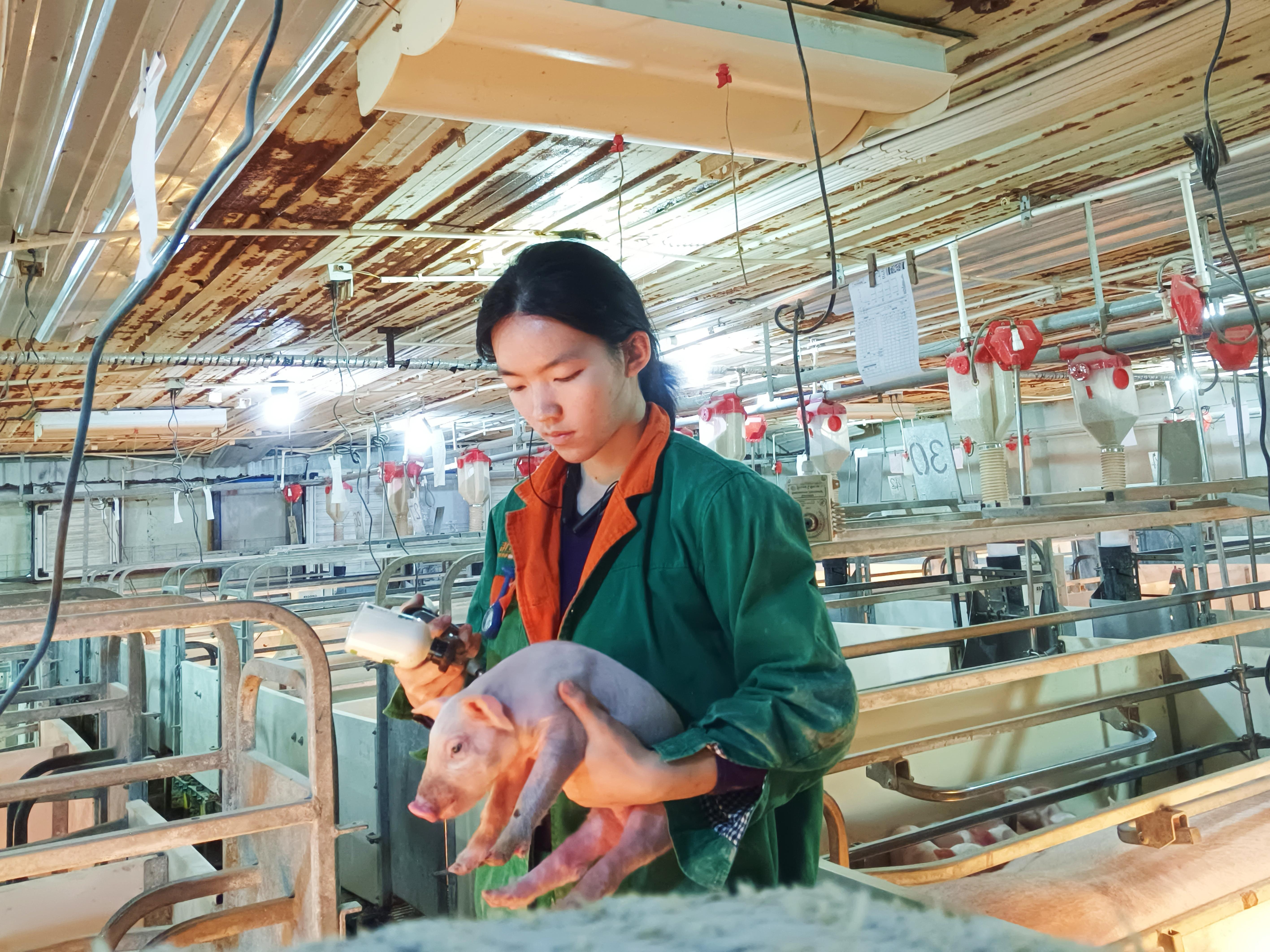 英国上市公司365