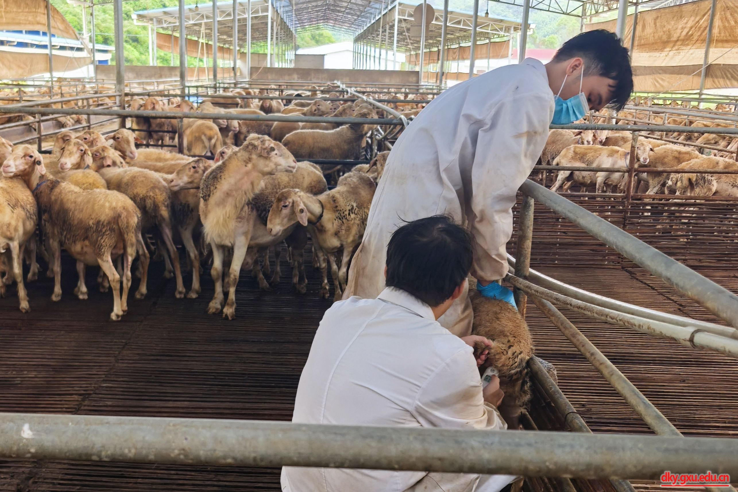 英国上市公司365