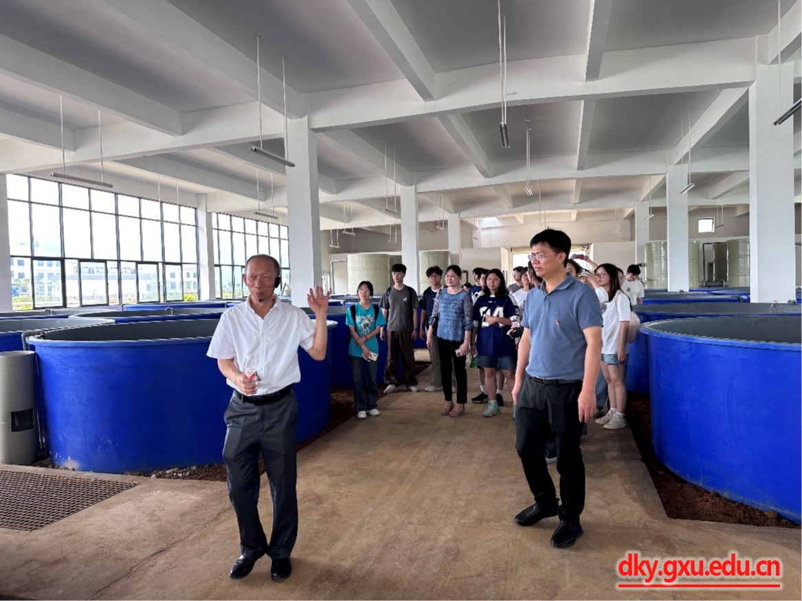 英国上市公司365