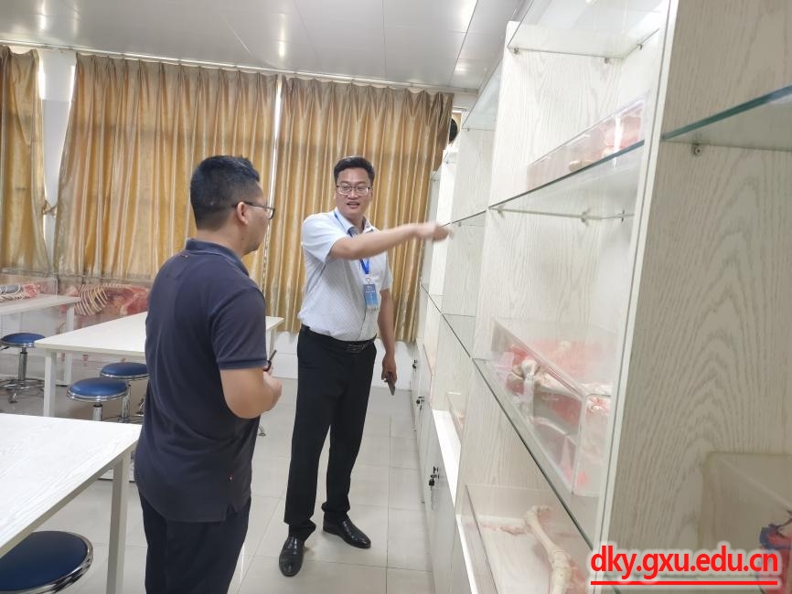 英国上市公司365