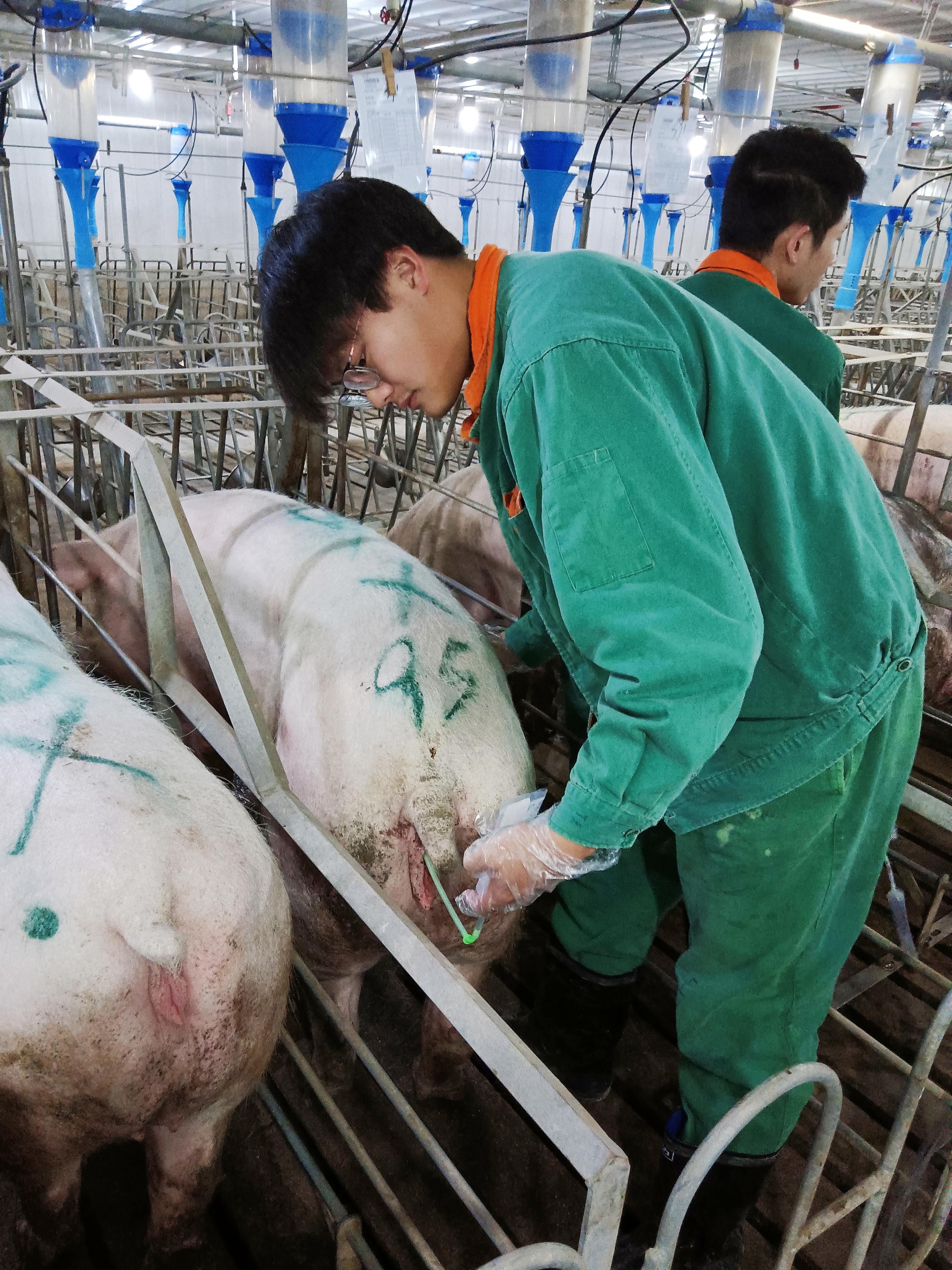 英国上市公司365