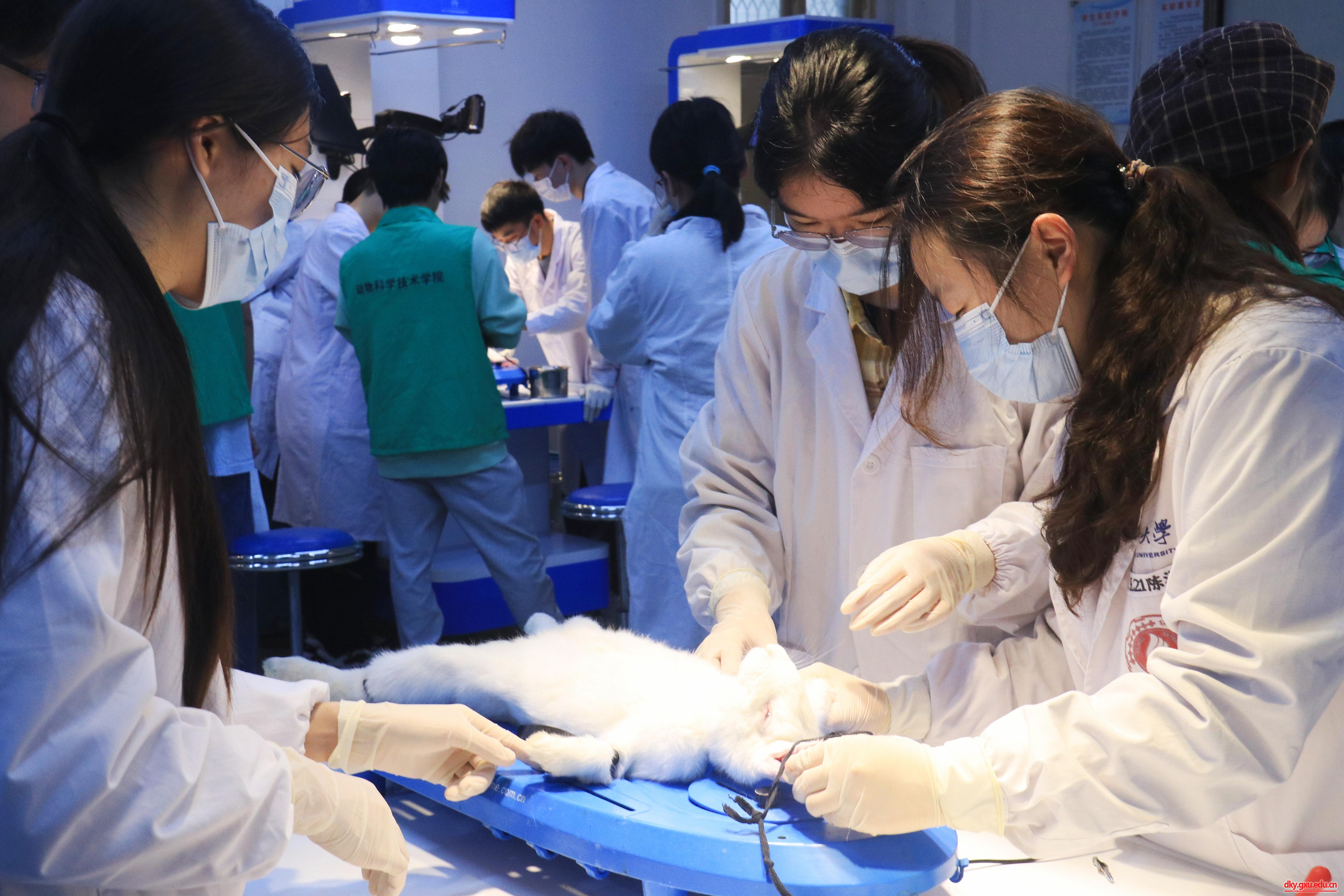 英国上市公司365