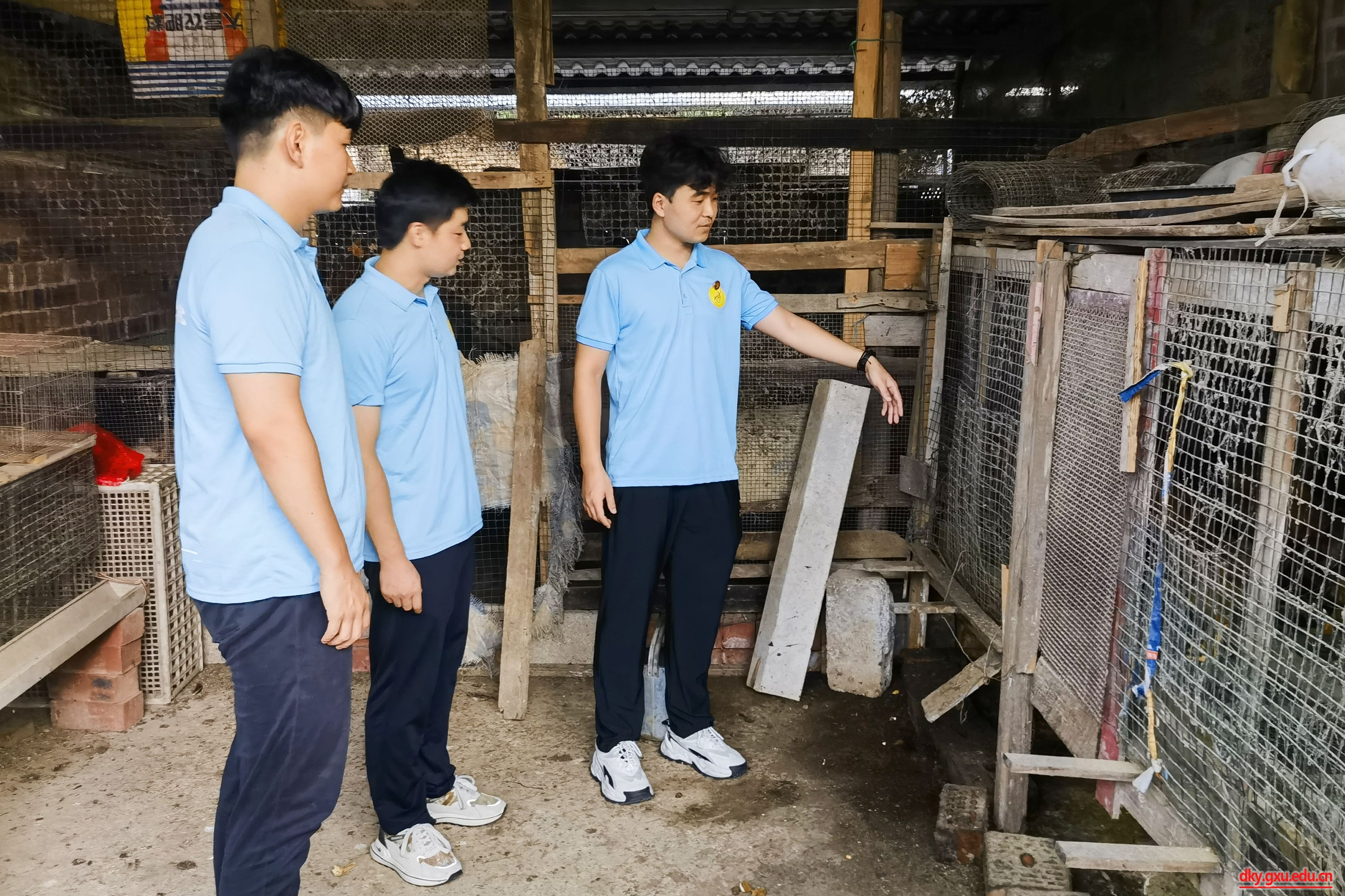 英国上市公司365