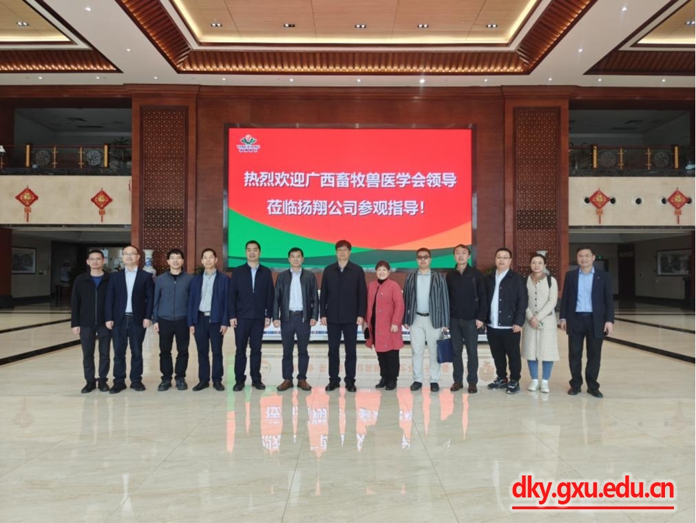 英国上市公司365