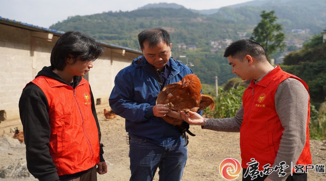 英国上市公司365