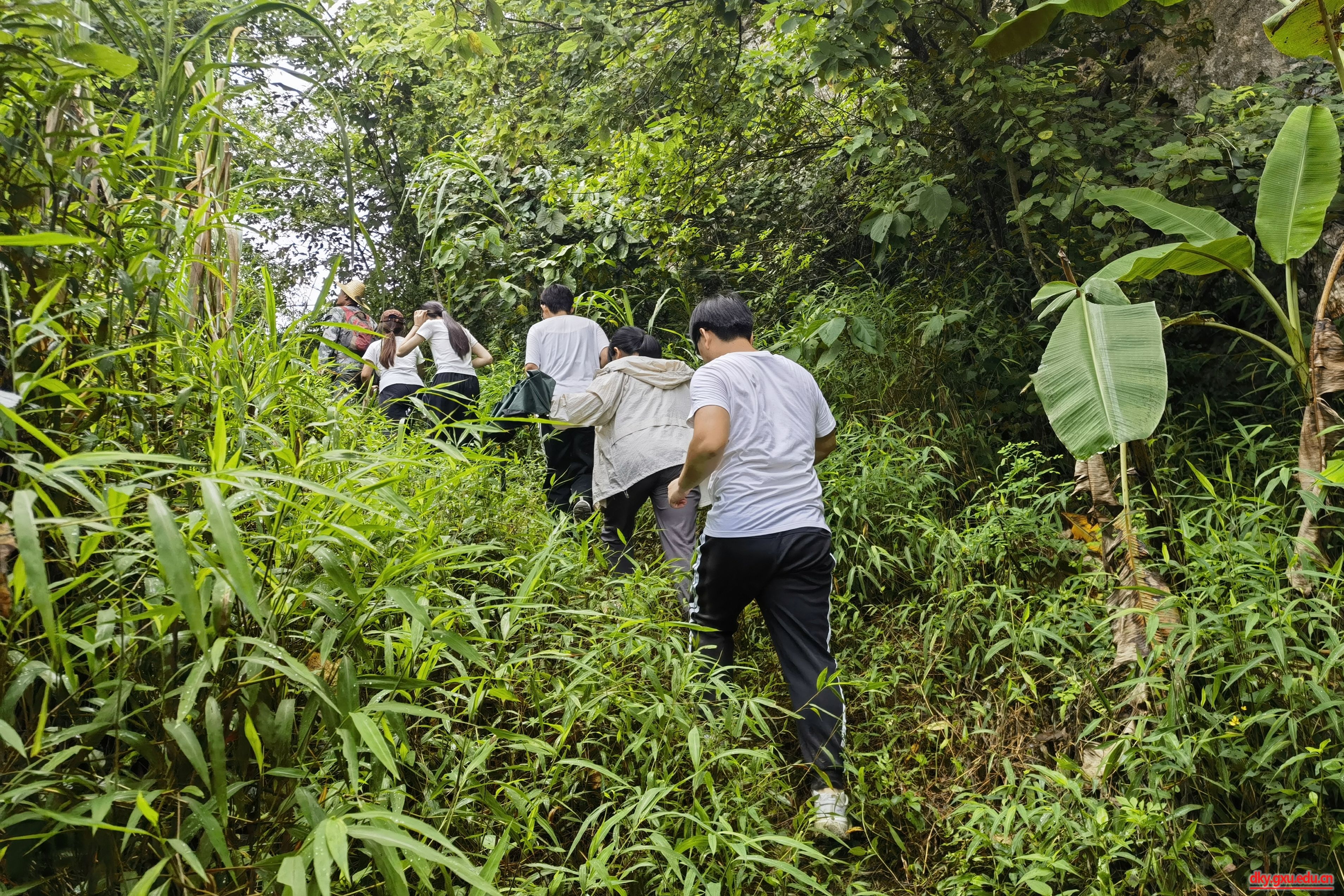 英国上市公司365