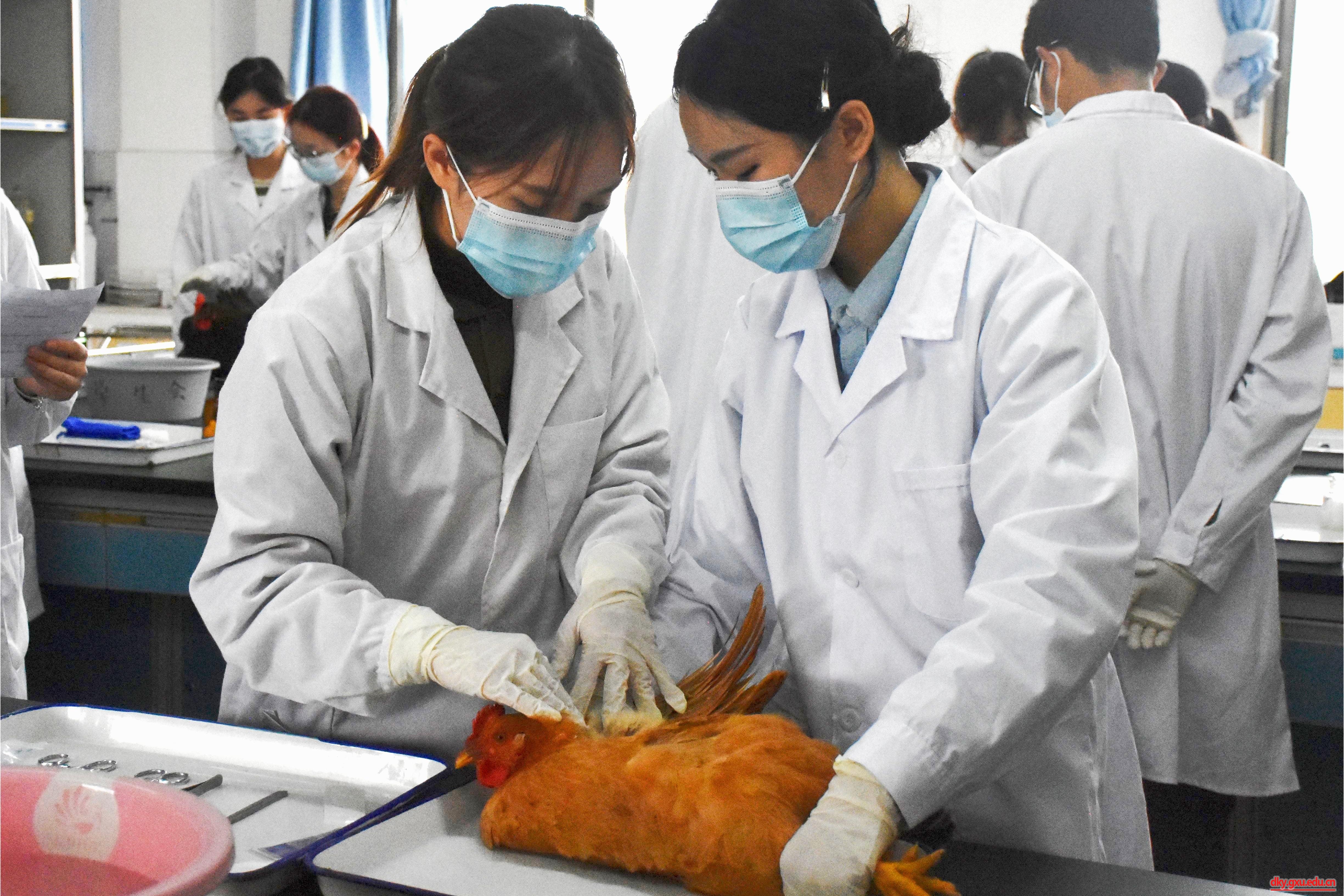 英国上市公司365