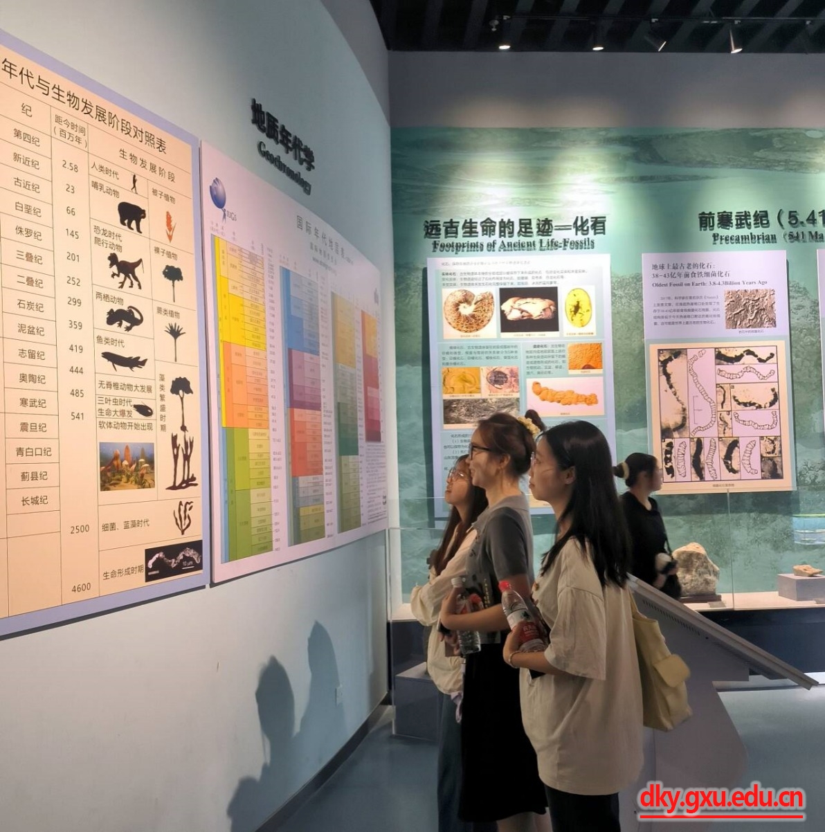 英国上市公司365