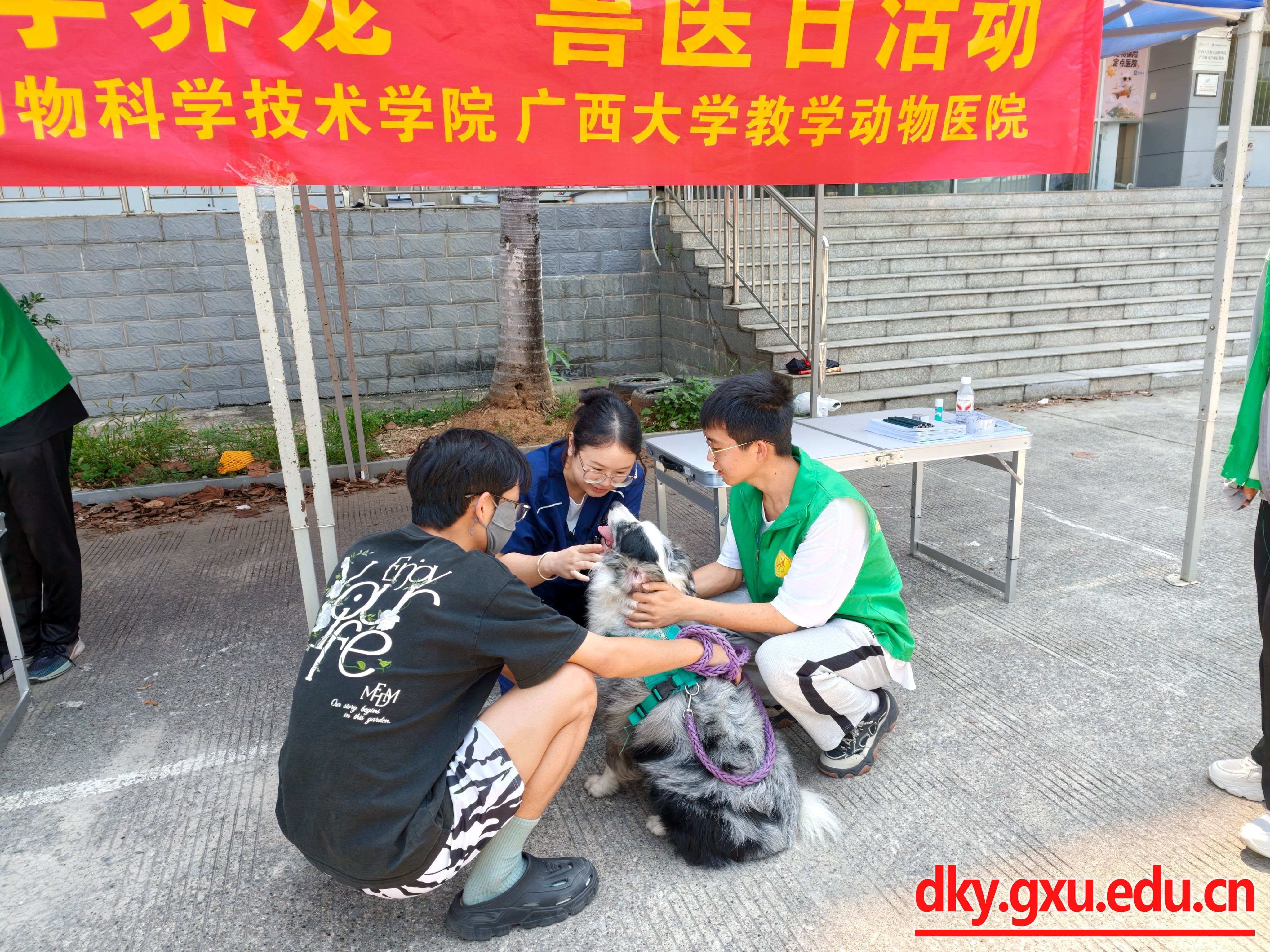 英国上市公司365