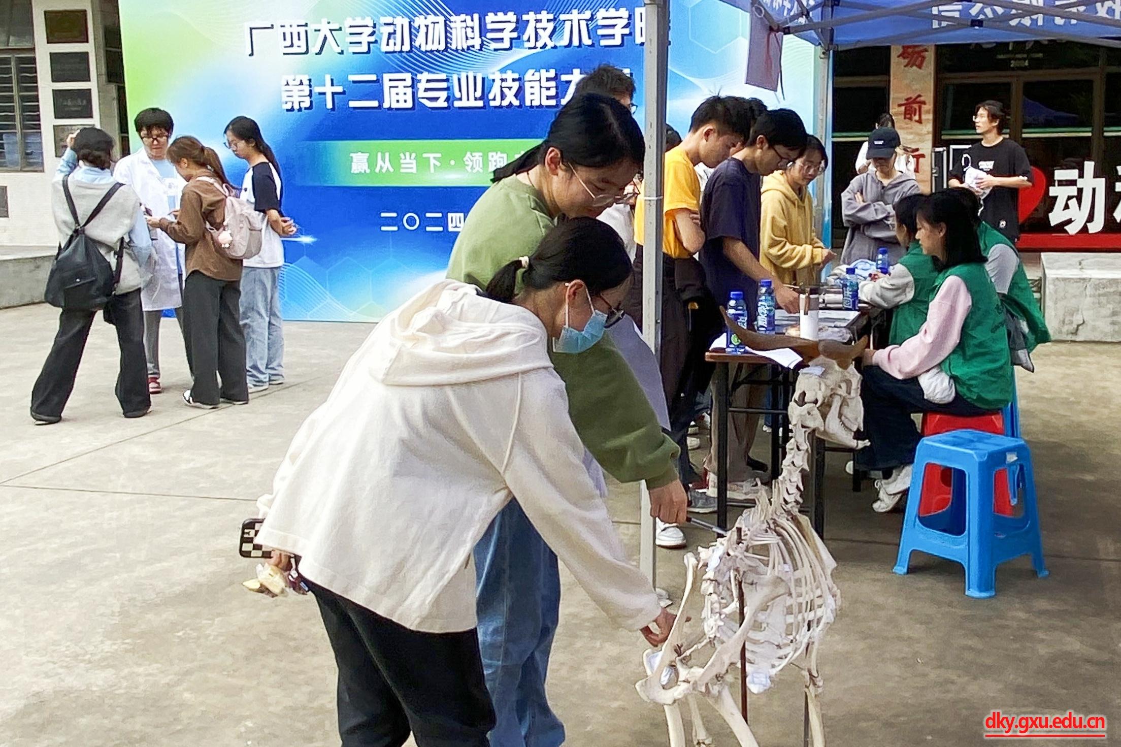 英国上市公司365