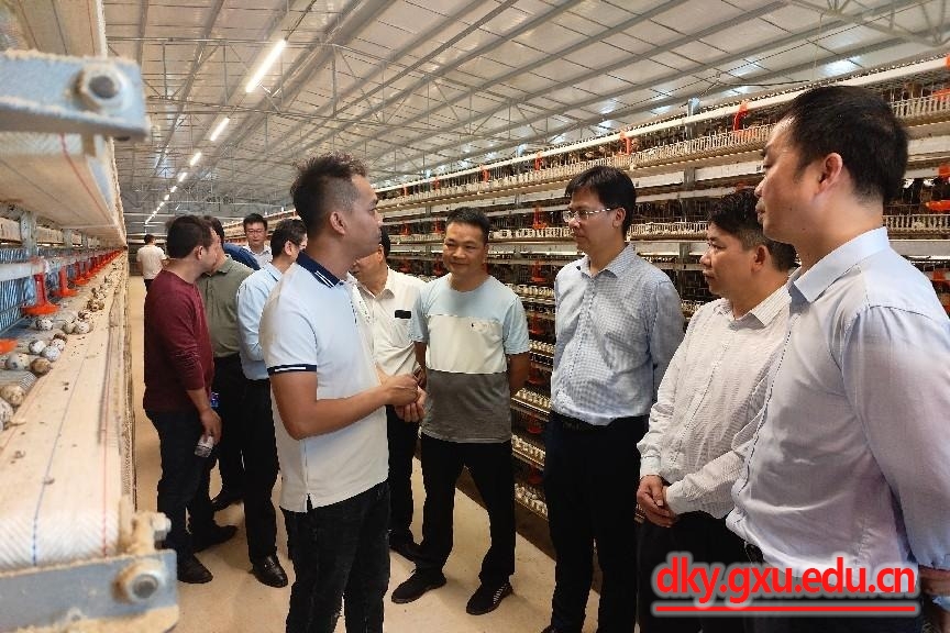 英国上市公司365