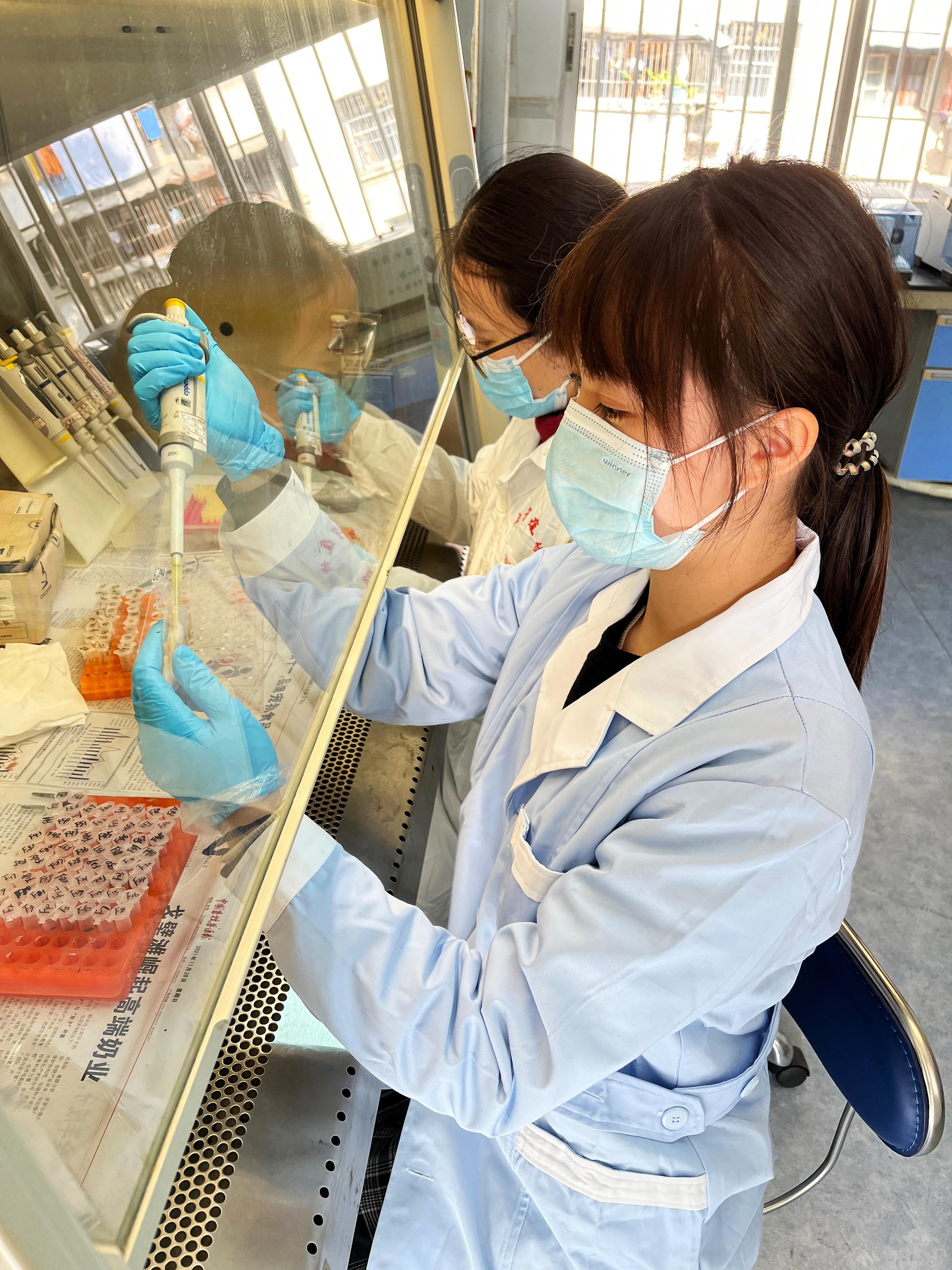 英国上市公司365