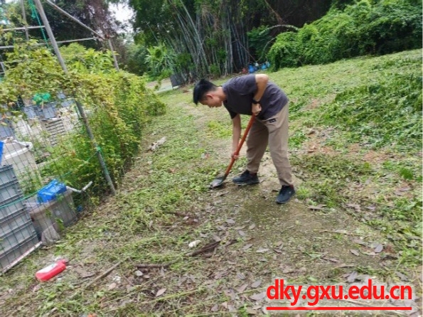 英国上市公司365