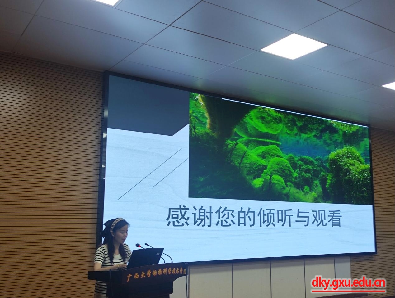 英国上市公司365