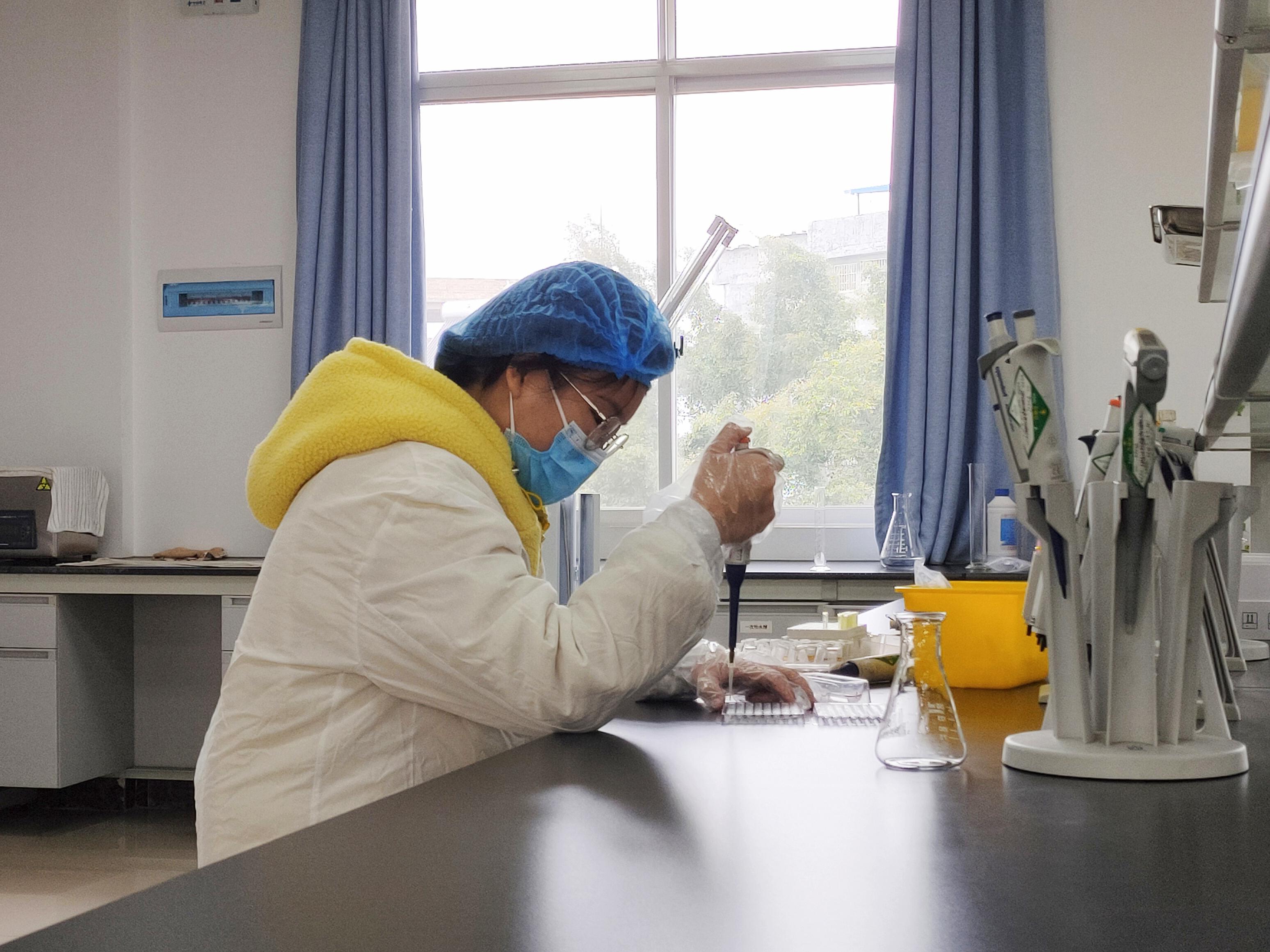 英国上市公司365