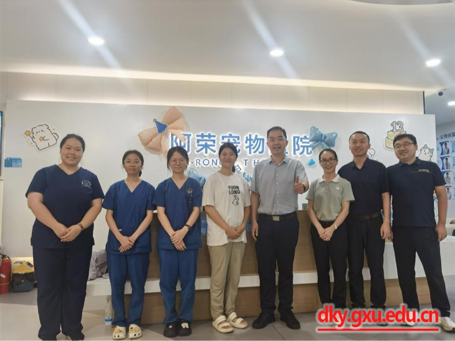 英国上市公司365