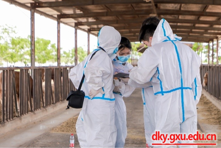 英国上市公司365