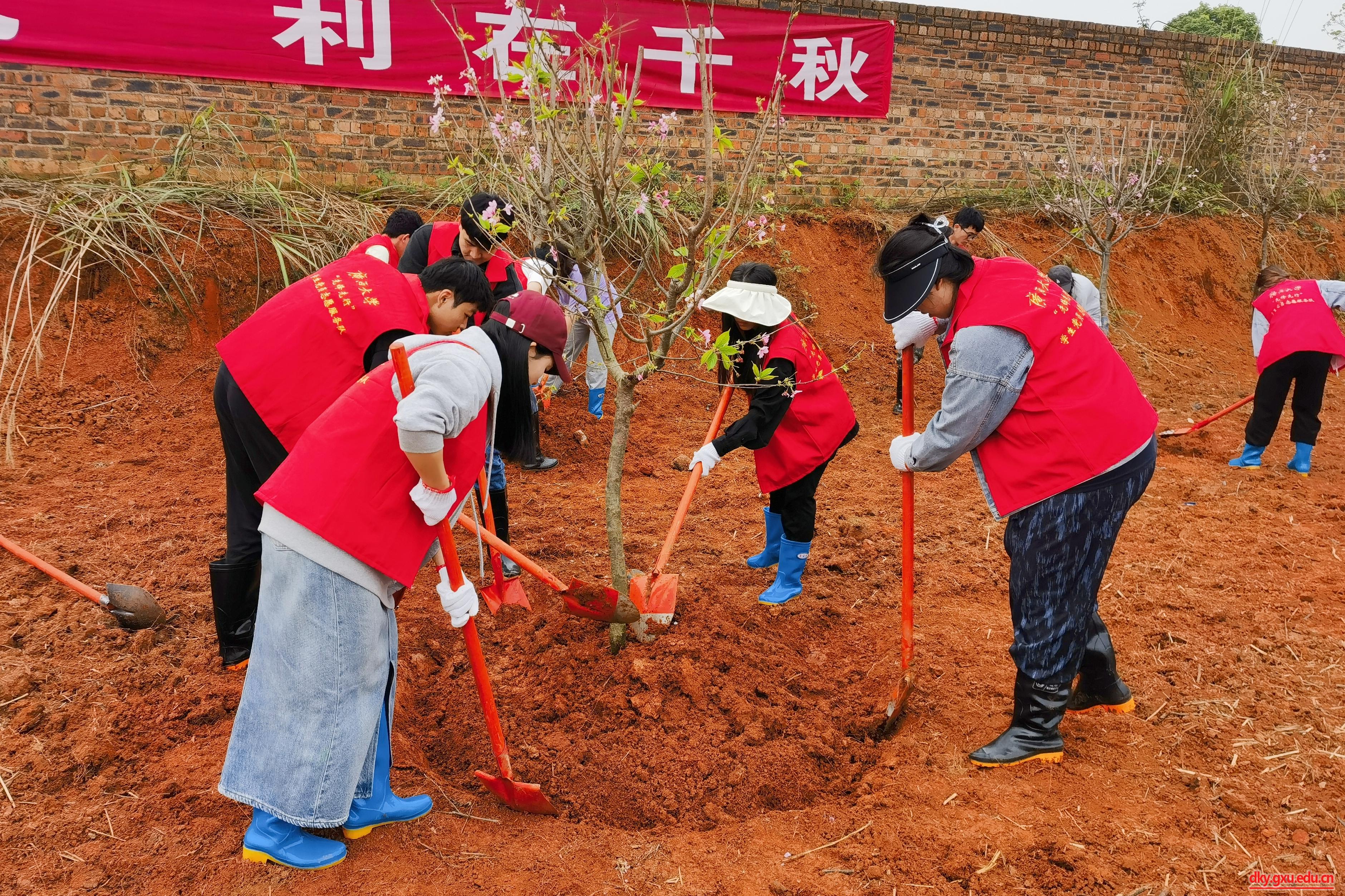 英国上市公司365