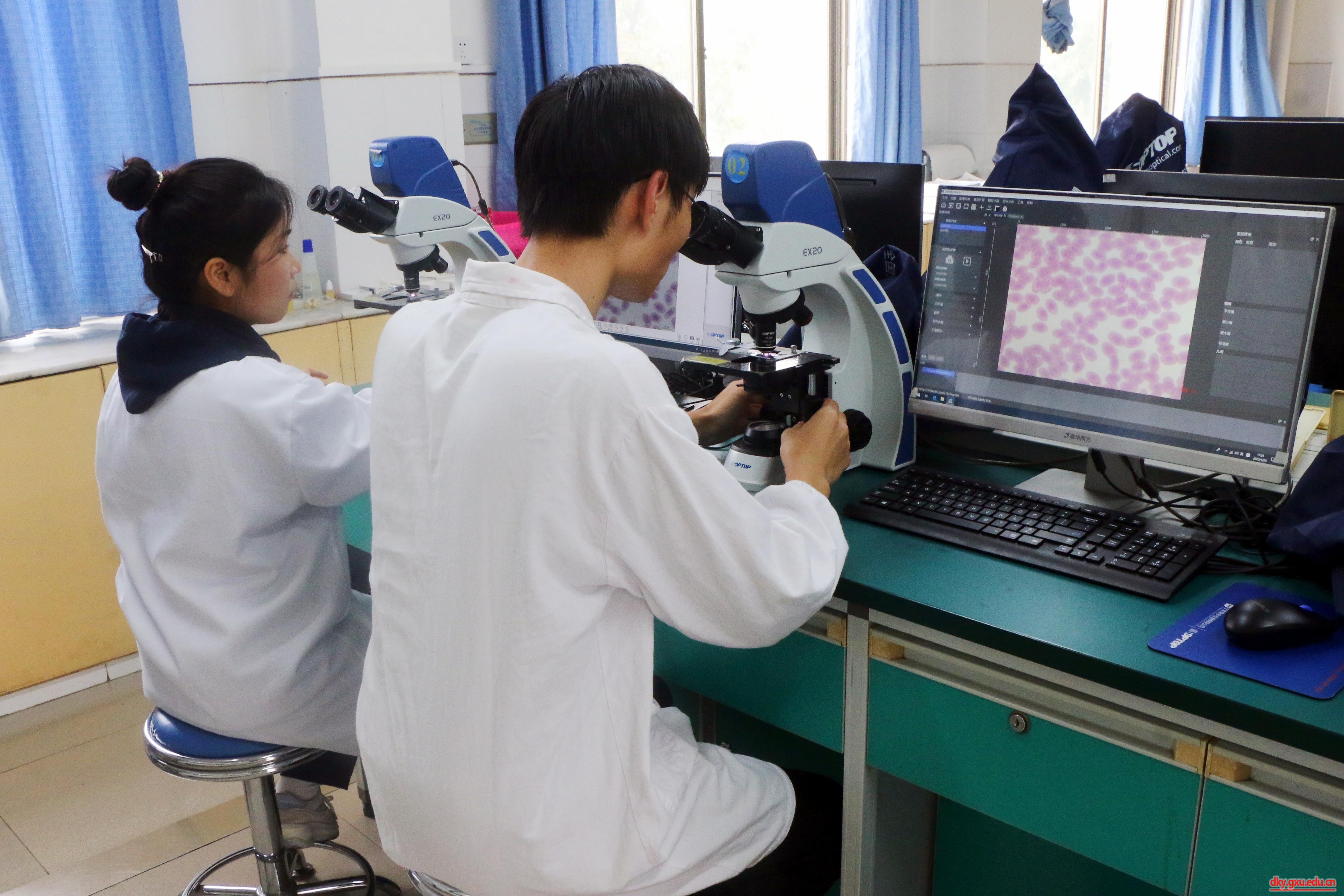 英国上市公司365