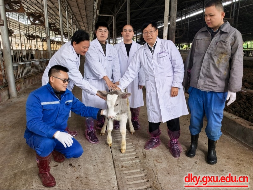 英国上市公司365