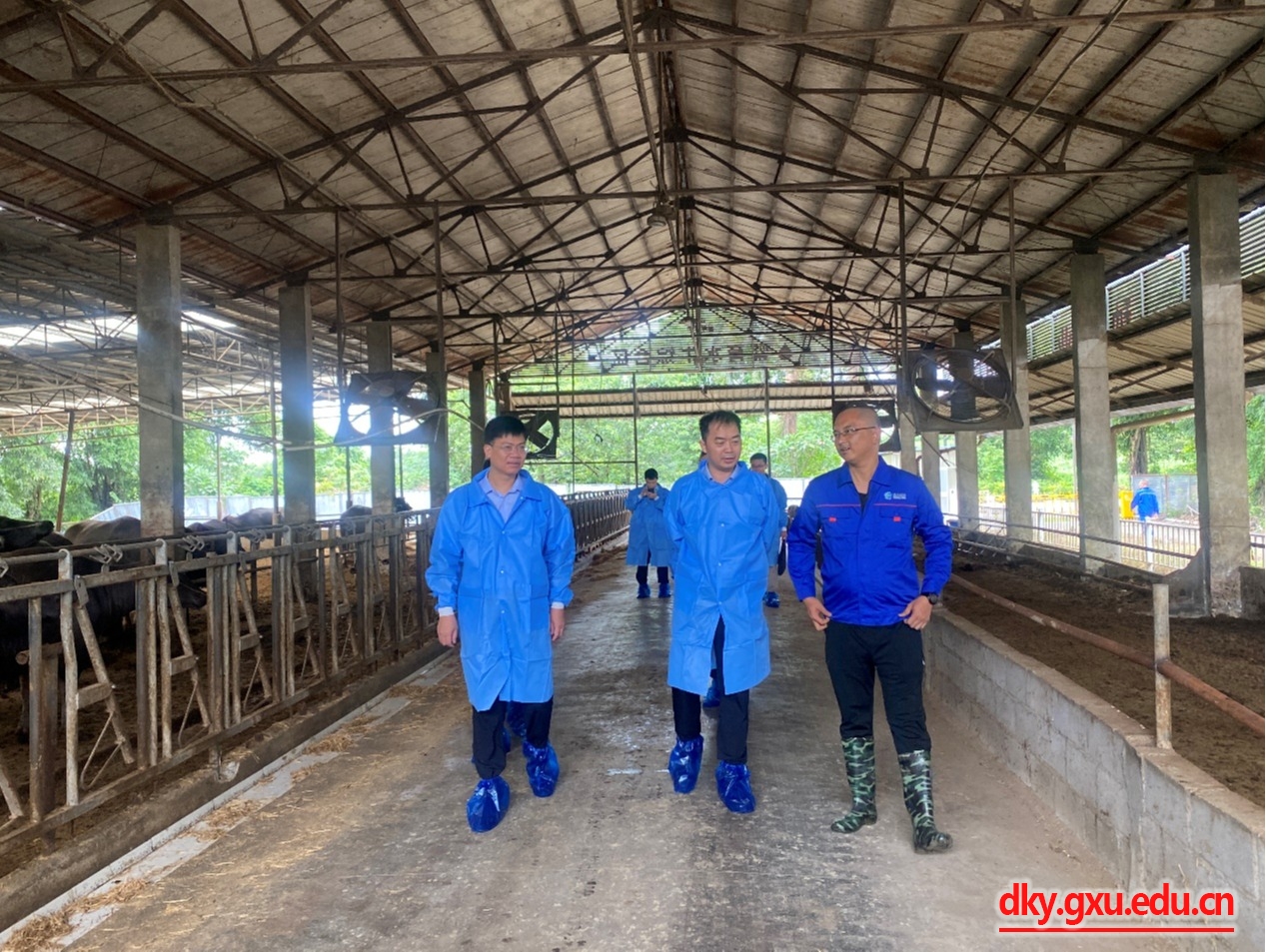 英国上市公司365