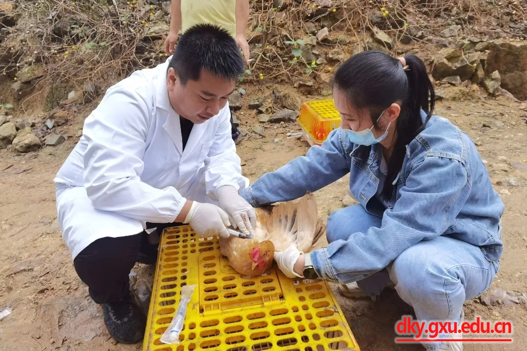 英国上市公司365