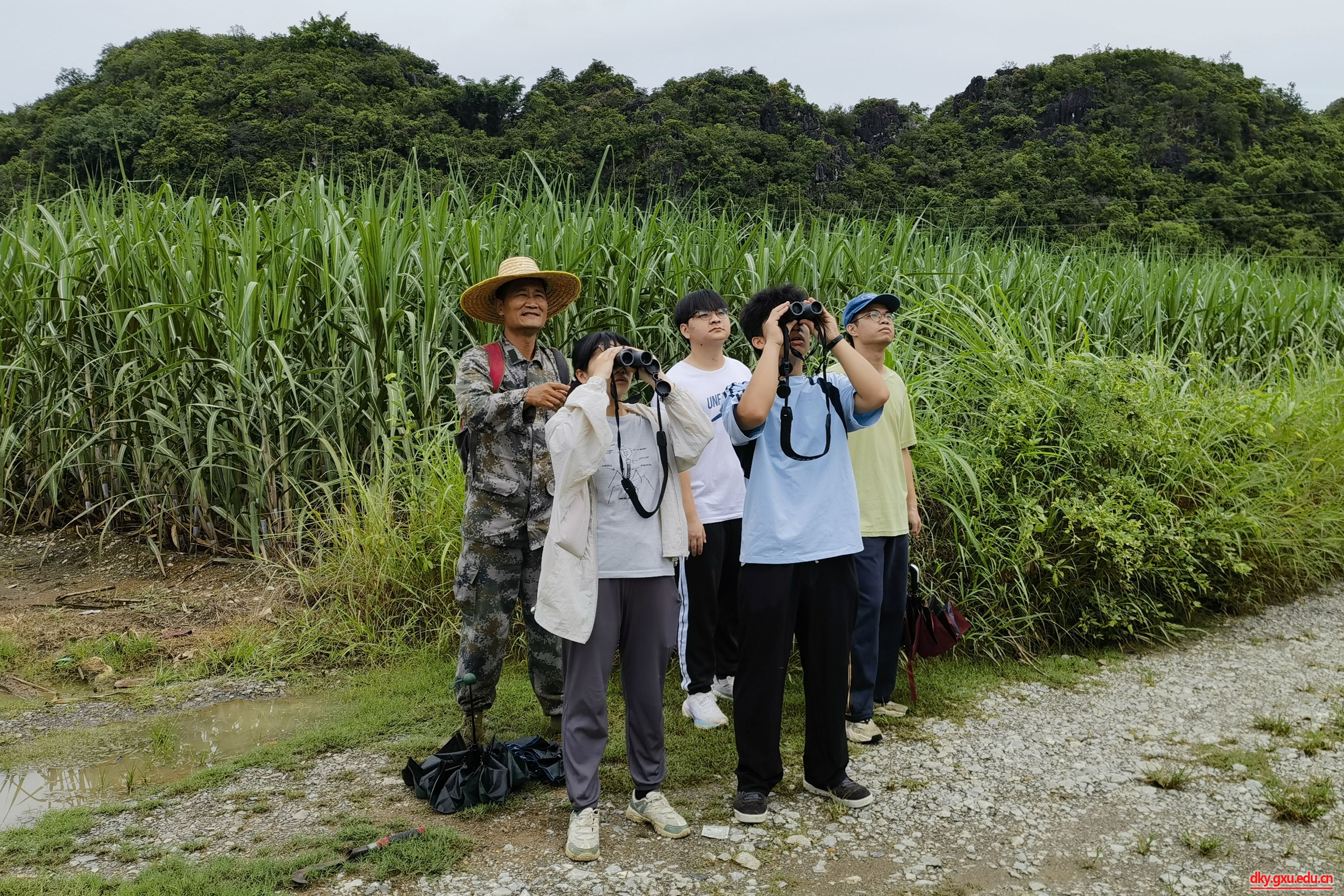 英国上市公司365