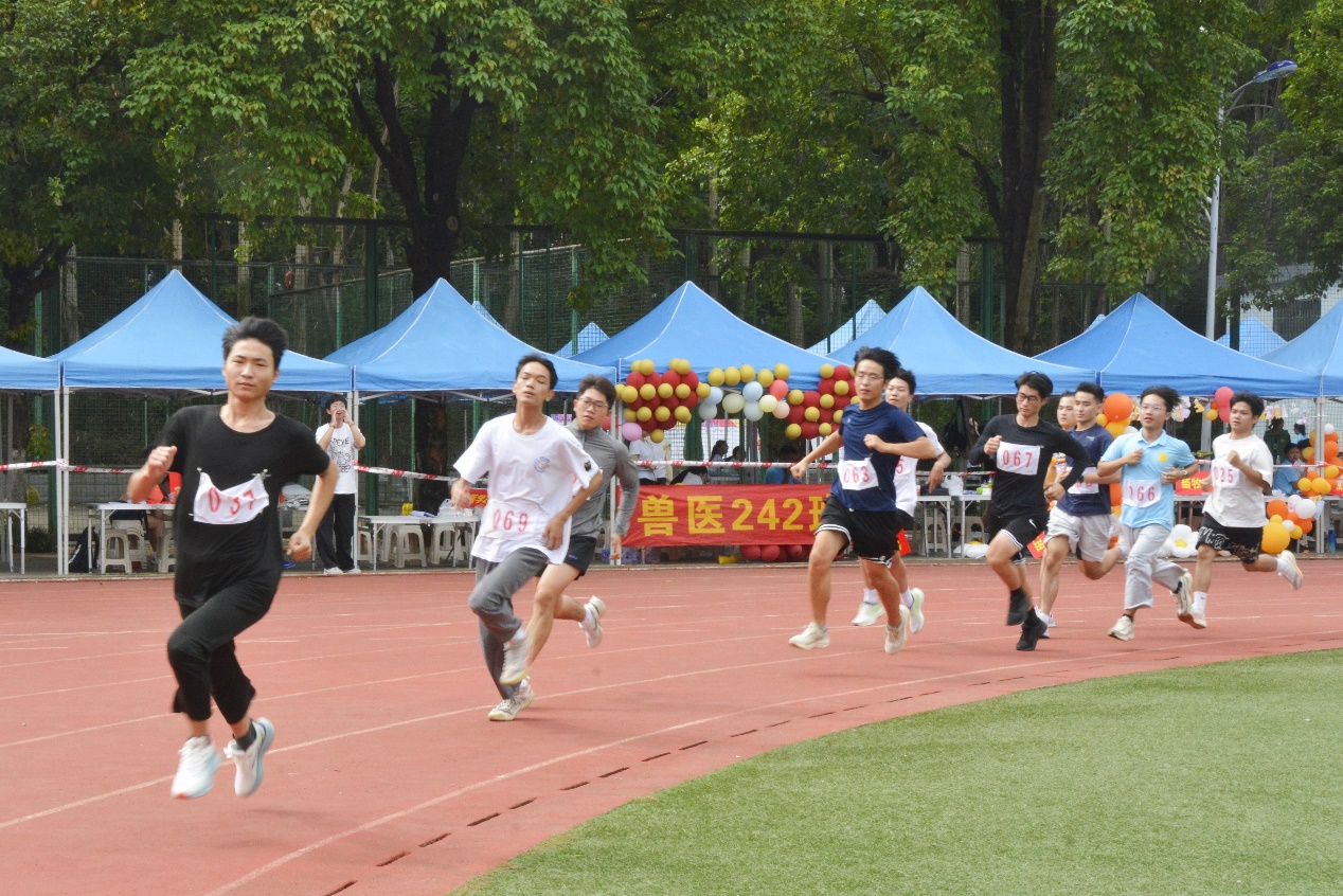 英国上市公司365