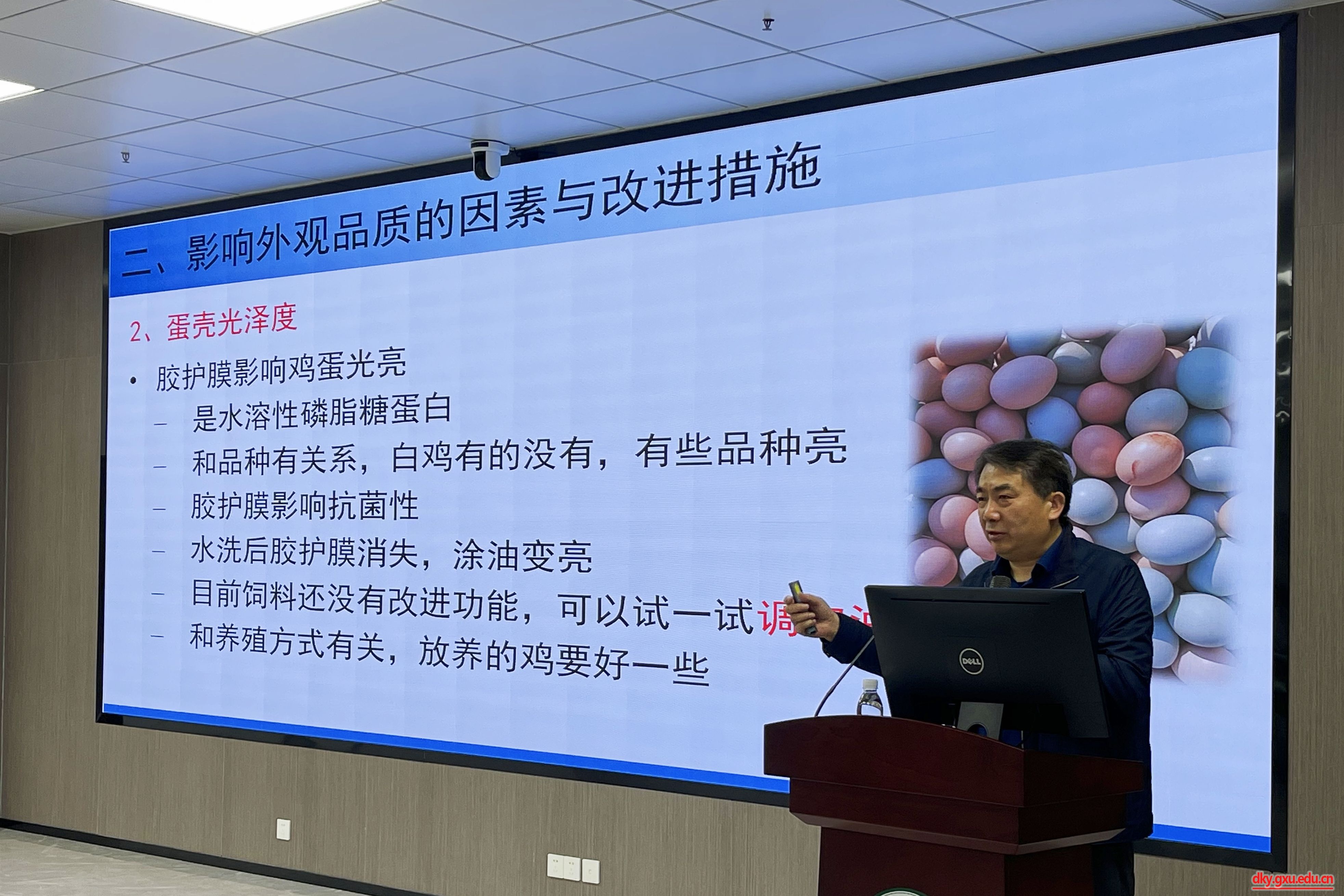 英国上市公司365