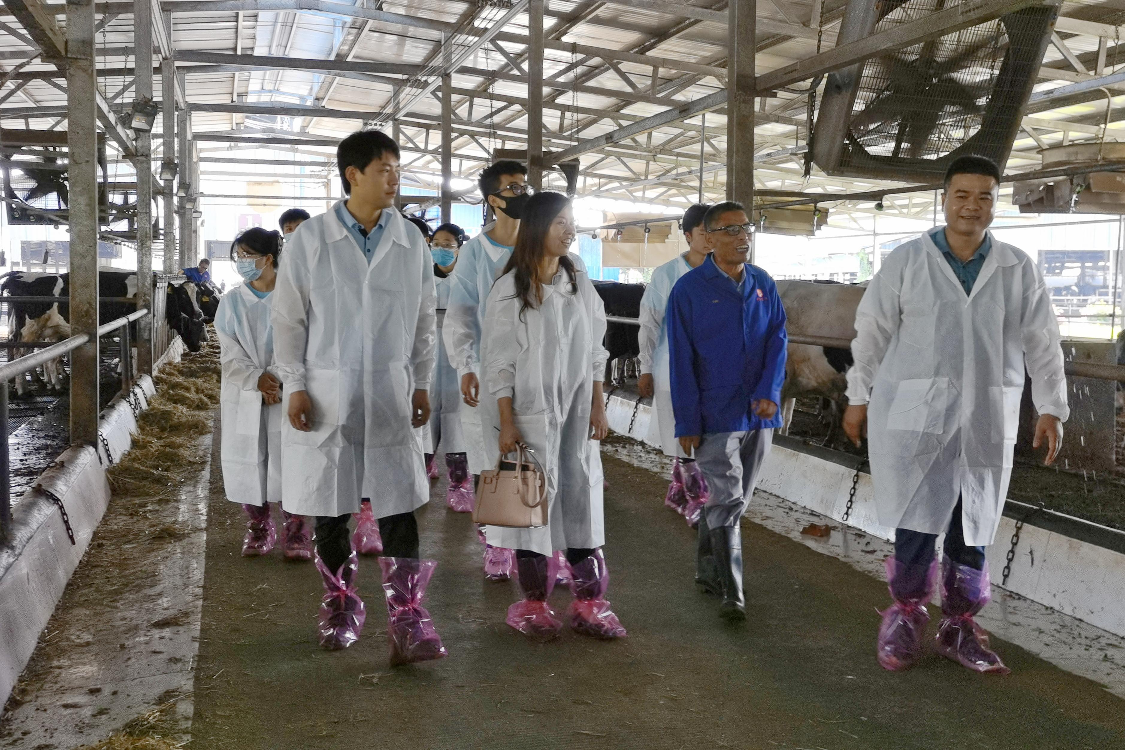 英国上市公司365