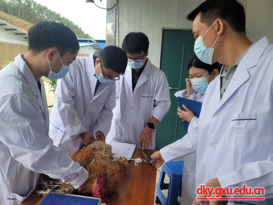 英国上市公司365