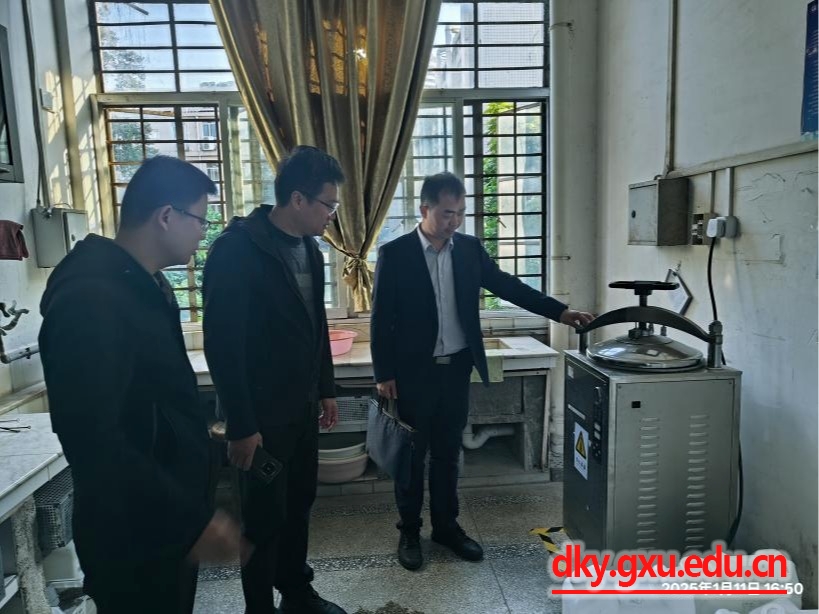 英国上市公司365