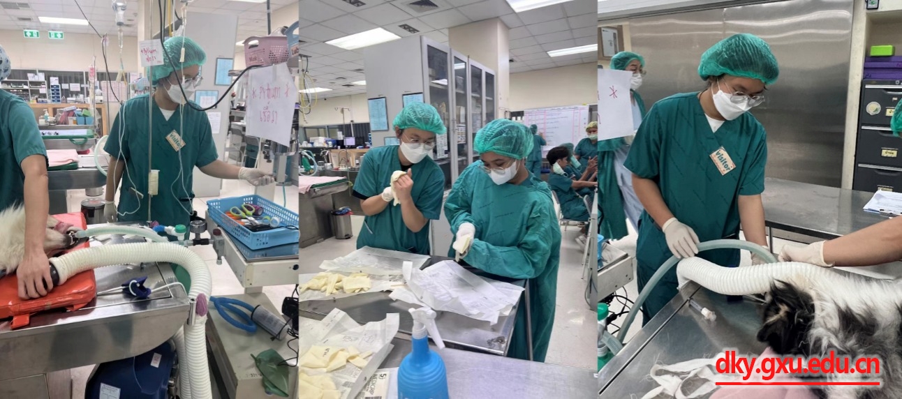 英国上市公司365