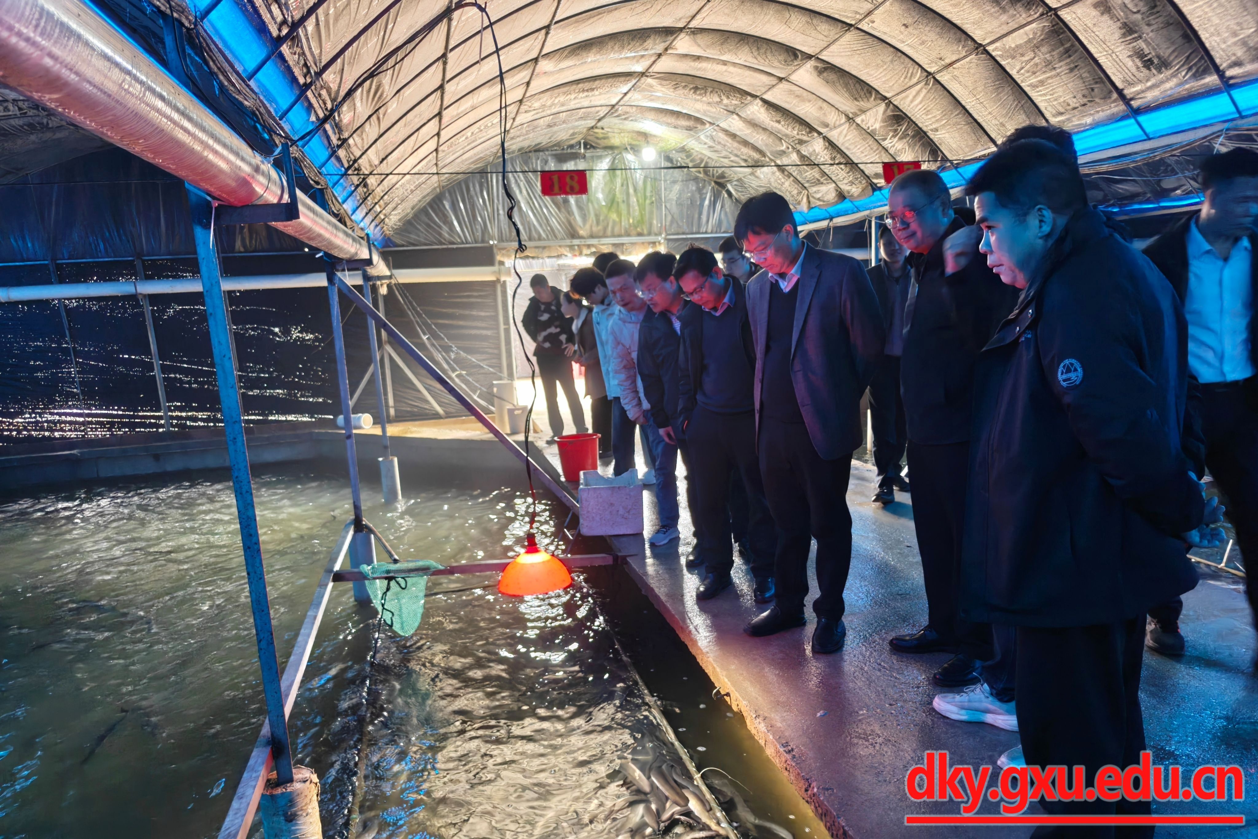 英国上市公司365