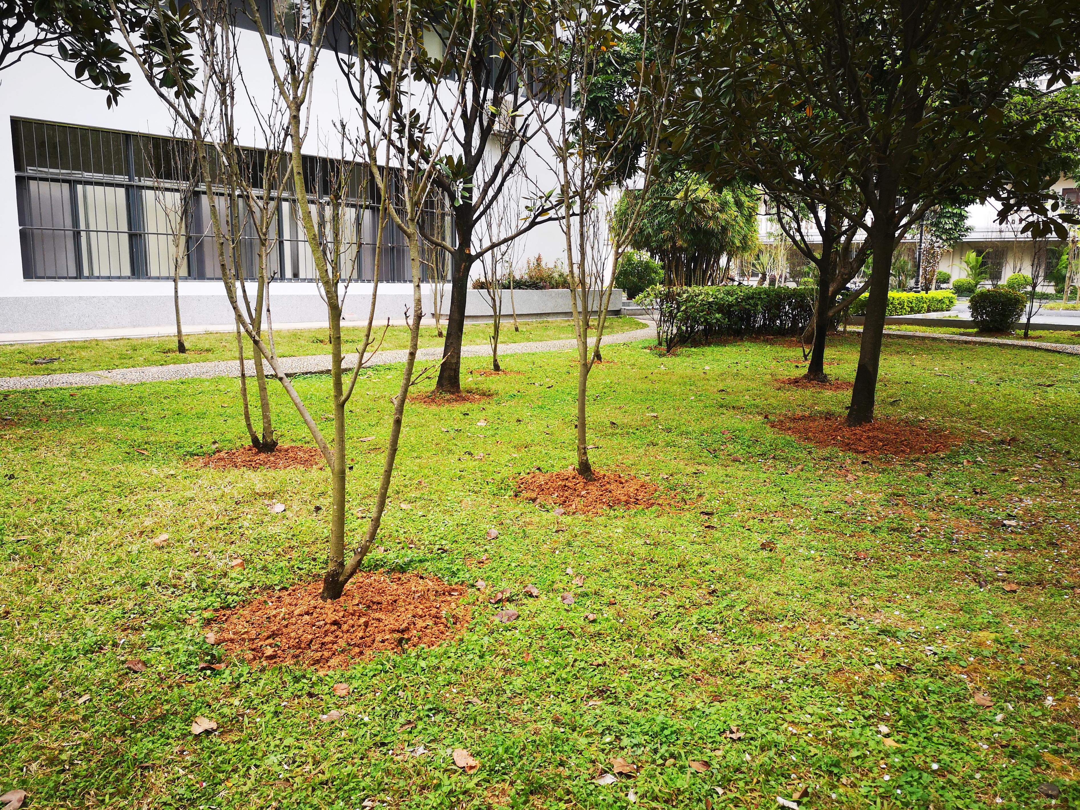 英国上市公司365