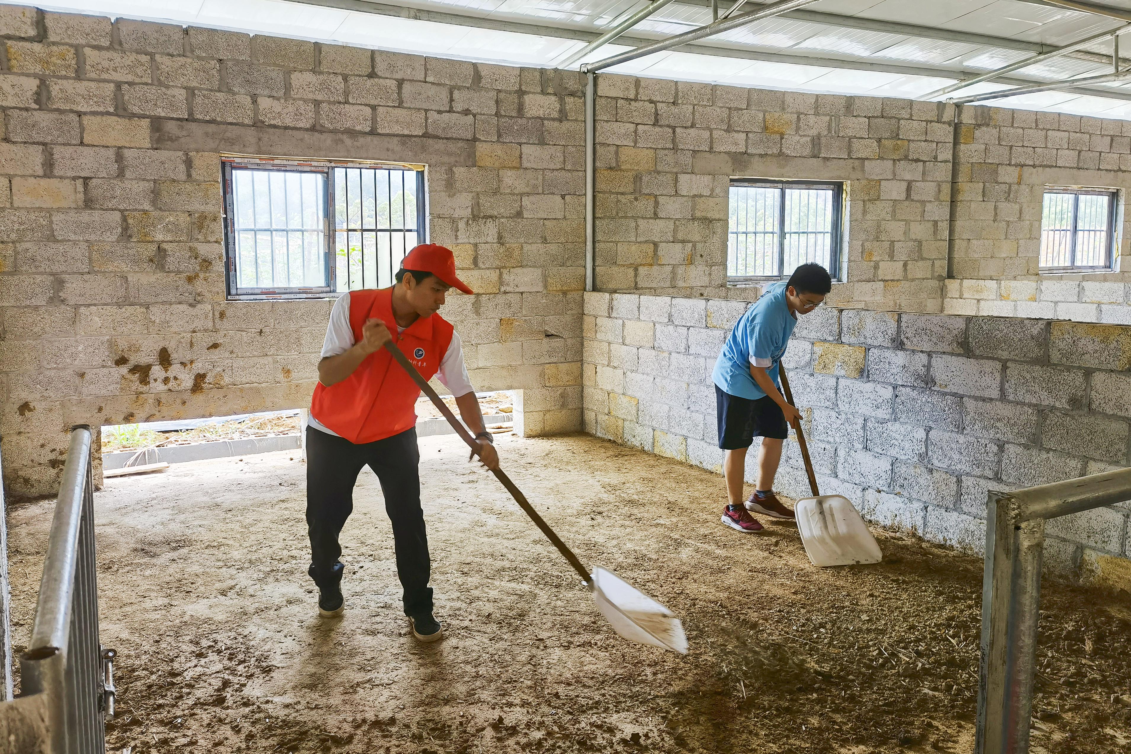 英国上市公司365