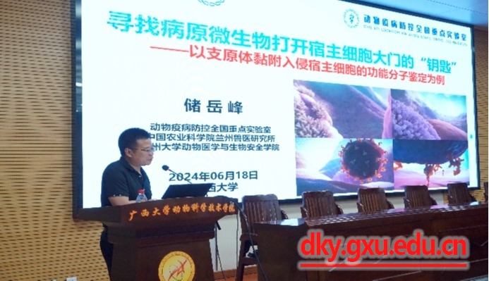 英国上市公司365