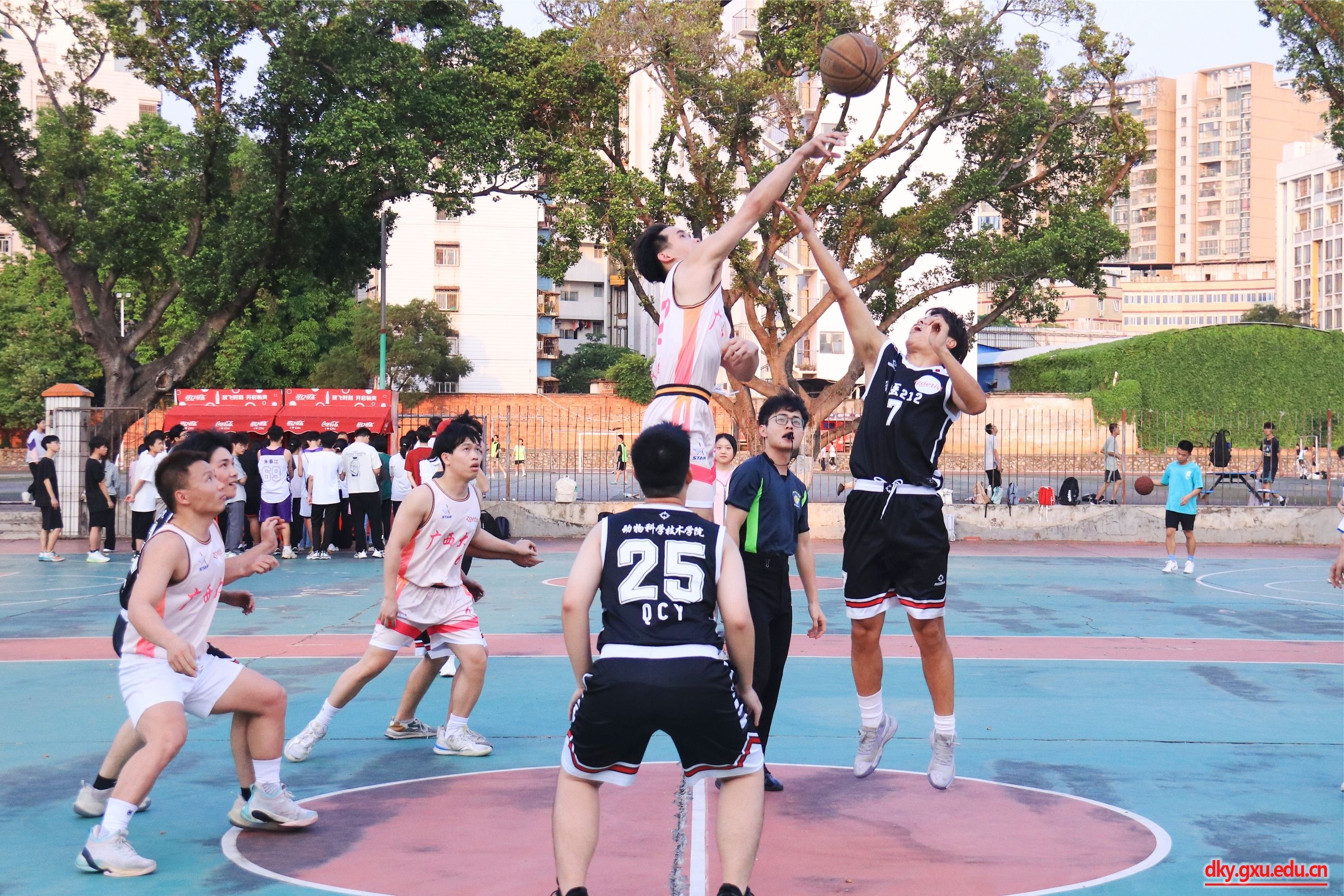 英国上市公司365